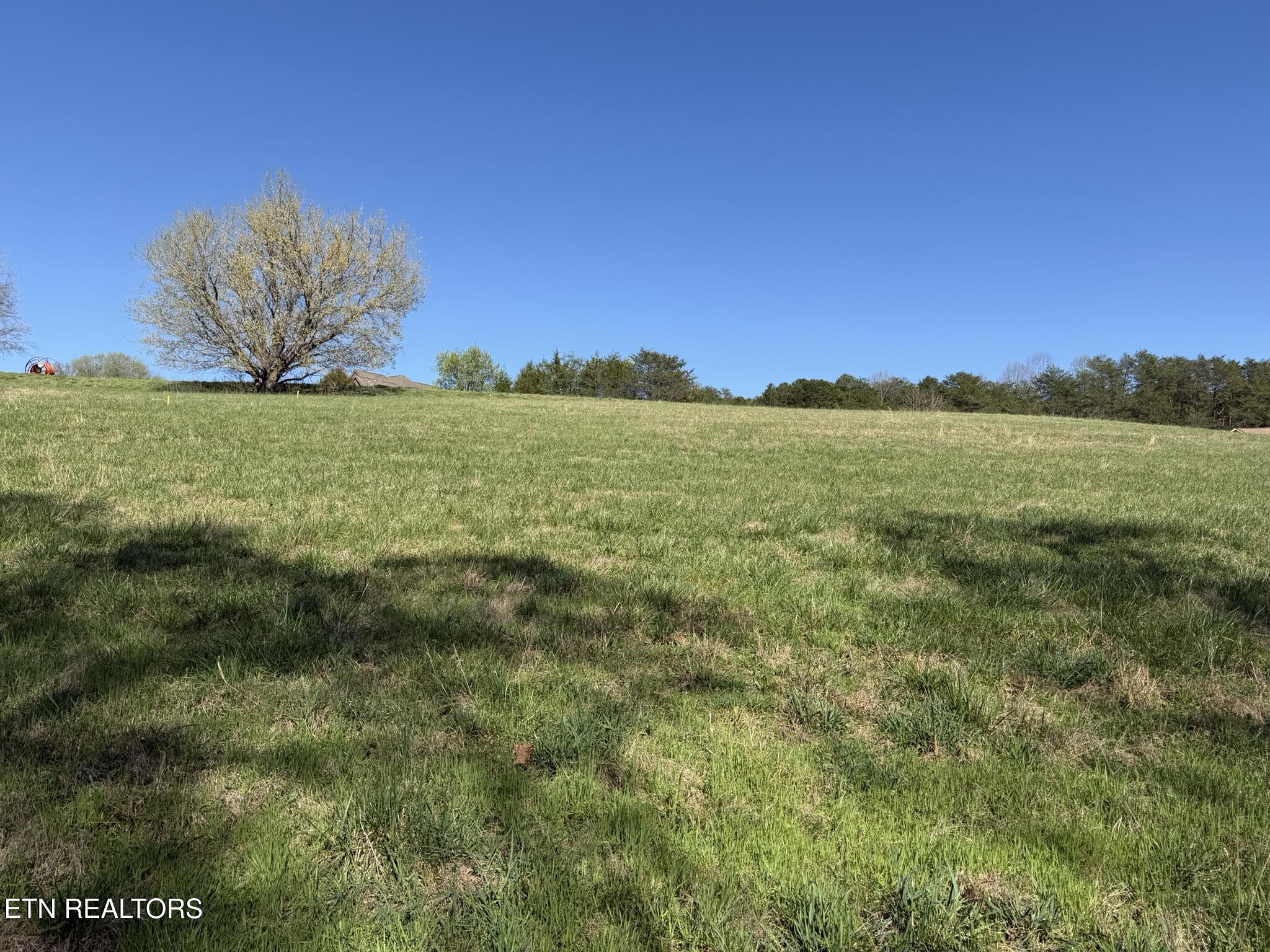 Lot 52 Marble Bluff Drive Kingston TN 37763
