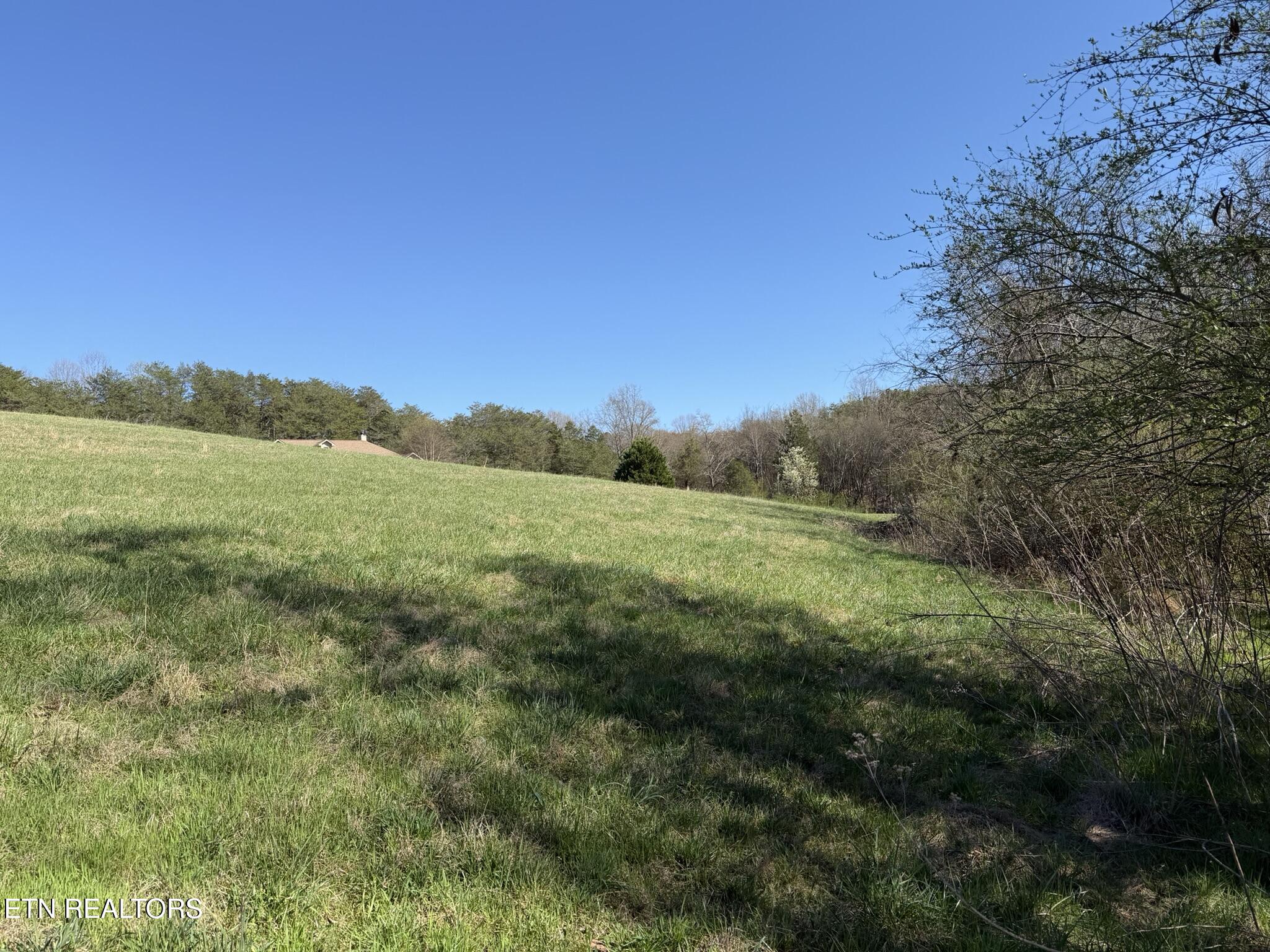 Lot 52 Marble Bluff Drive Kingston TN 37763