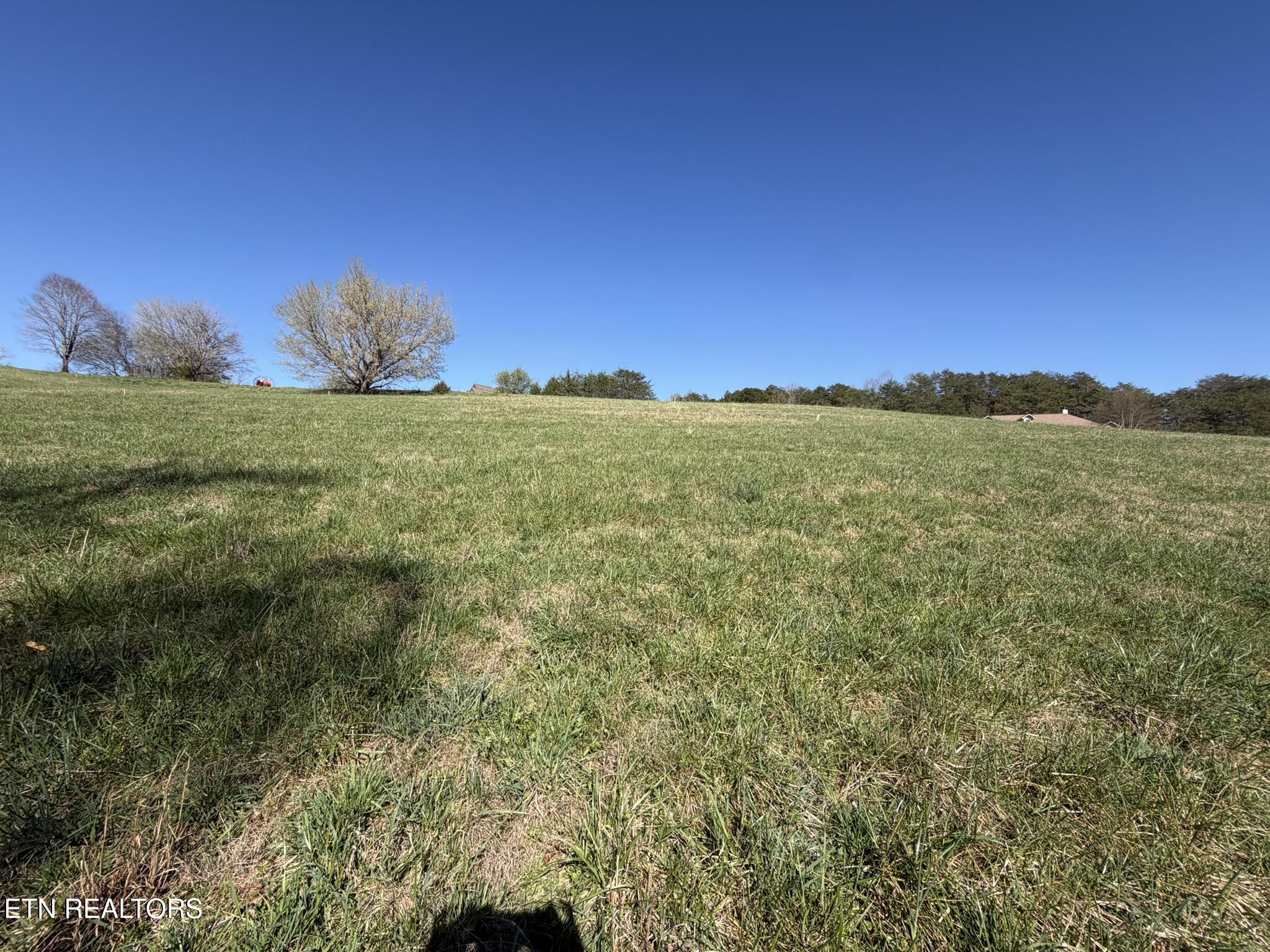 Lot 52 Marble Bluff Drive Kingston TN 37763