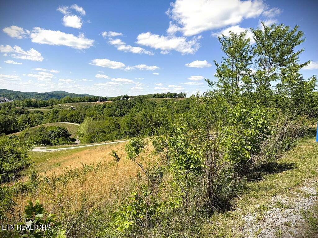100C Mallard Lane Hilham TN 38568