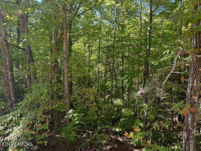 Lot 17 Deer Path Lane Gatlinburg TN 37738