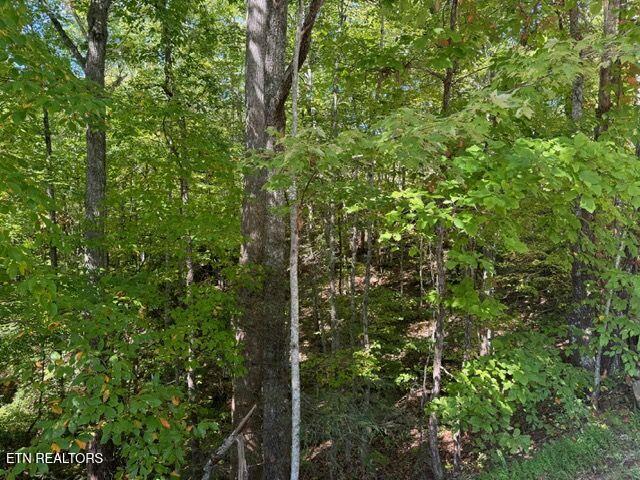 Lot 17 Deer Path Lane Gatlinburg TN 37738