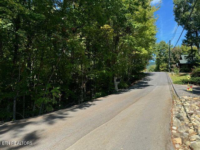 Lot 17 Deer Path Lane Gatlinburg TN 37738