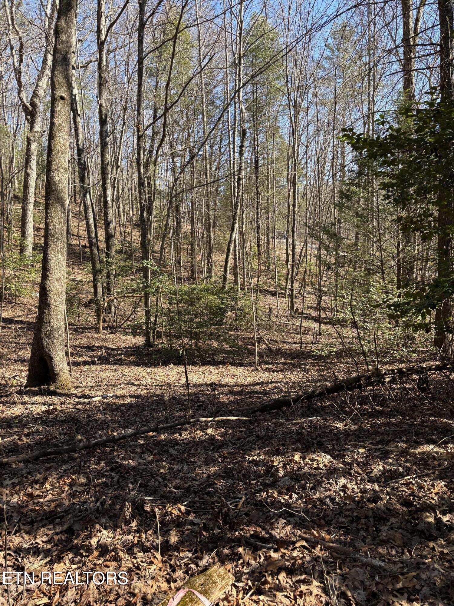 16305 E Highway 70 Rockwood TN 37854
