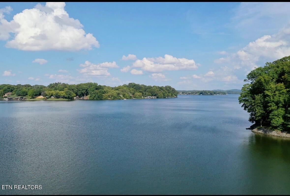 Parks Ferry Lane Lot #4 Road Friendsville TN 37737