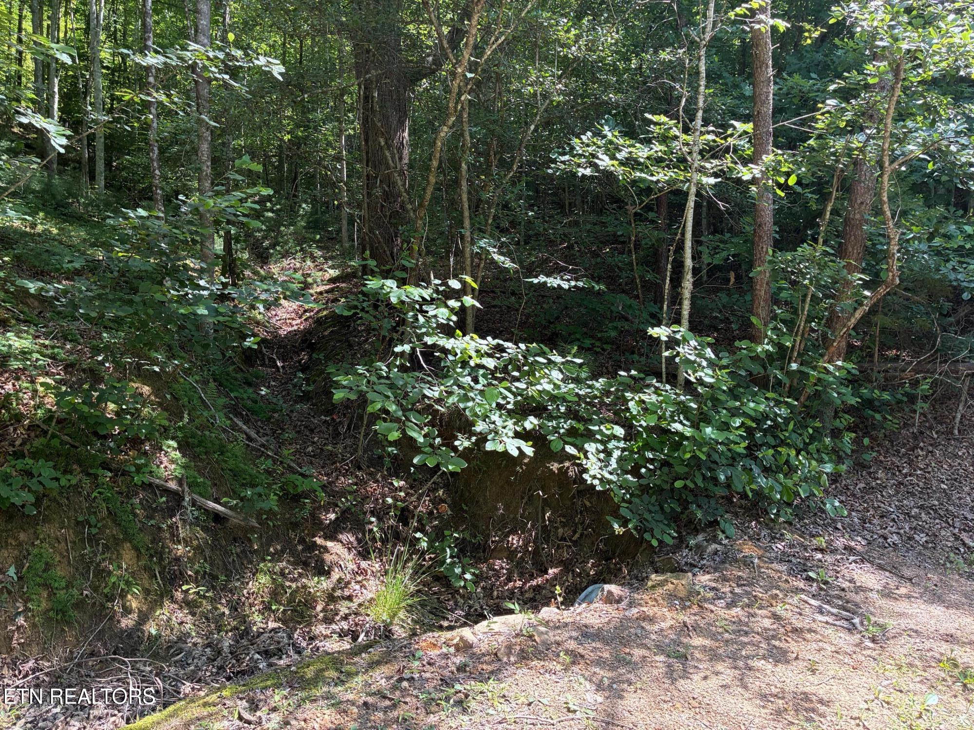 Claude Shields Way Sevierville TN 37876