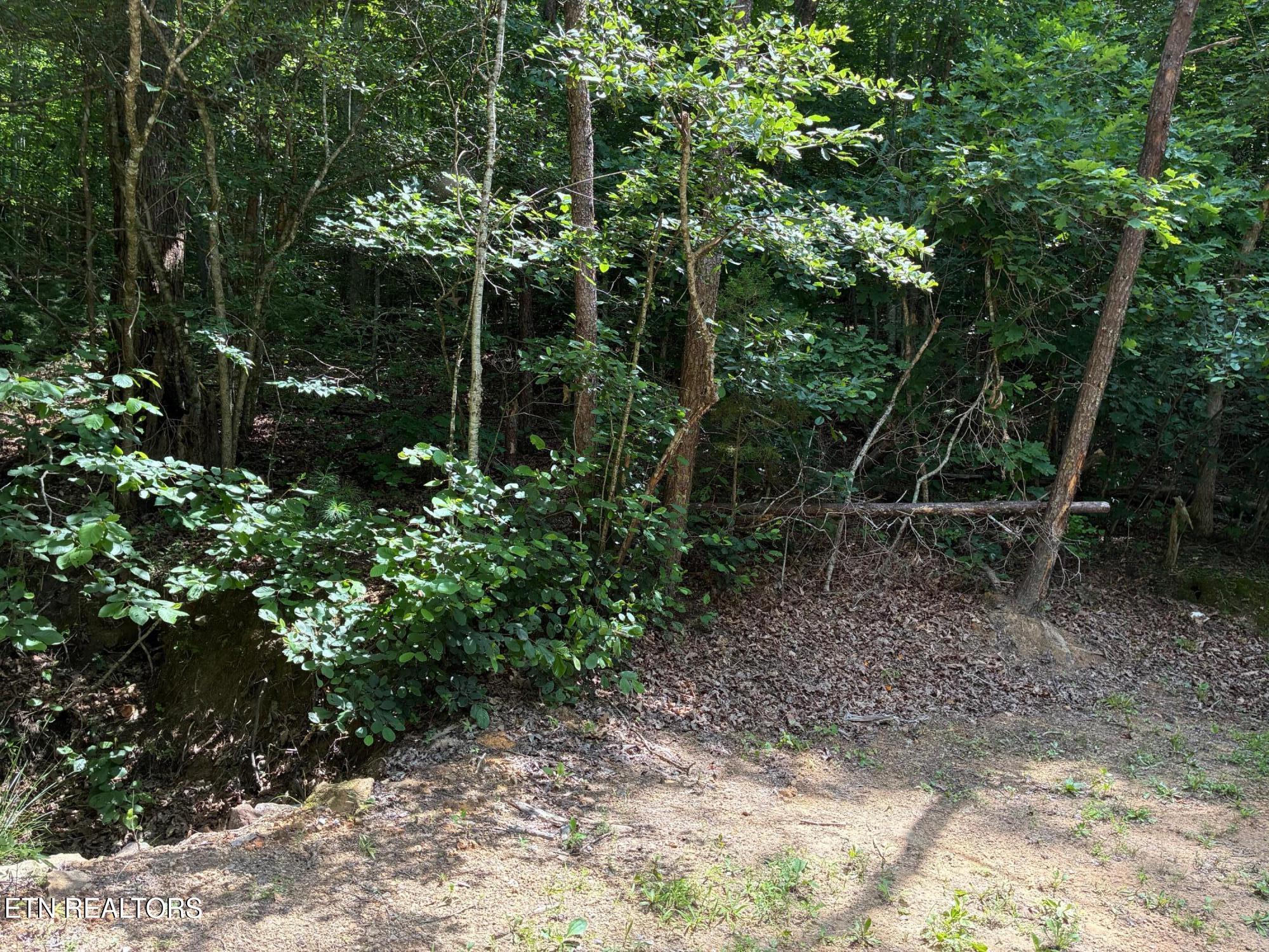 Claude Shields Way Sevierville TN 37876