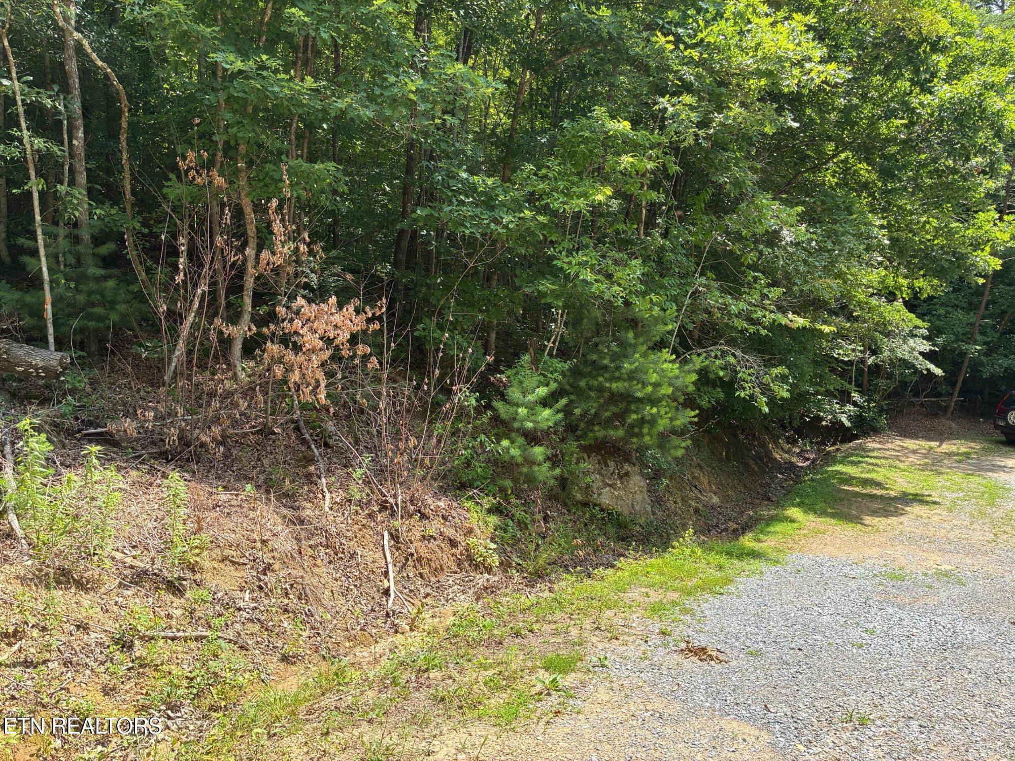 Claude Shields Way Sevierville TN 37876