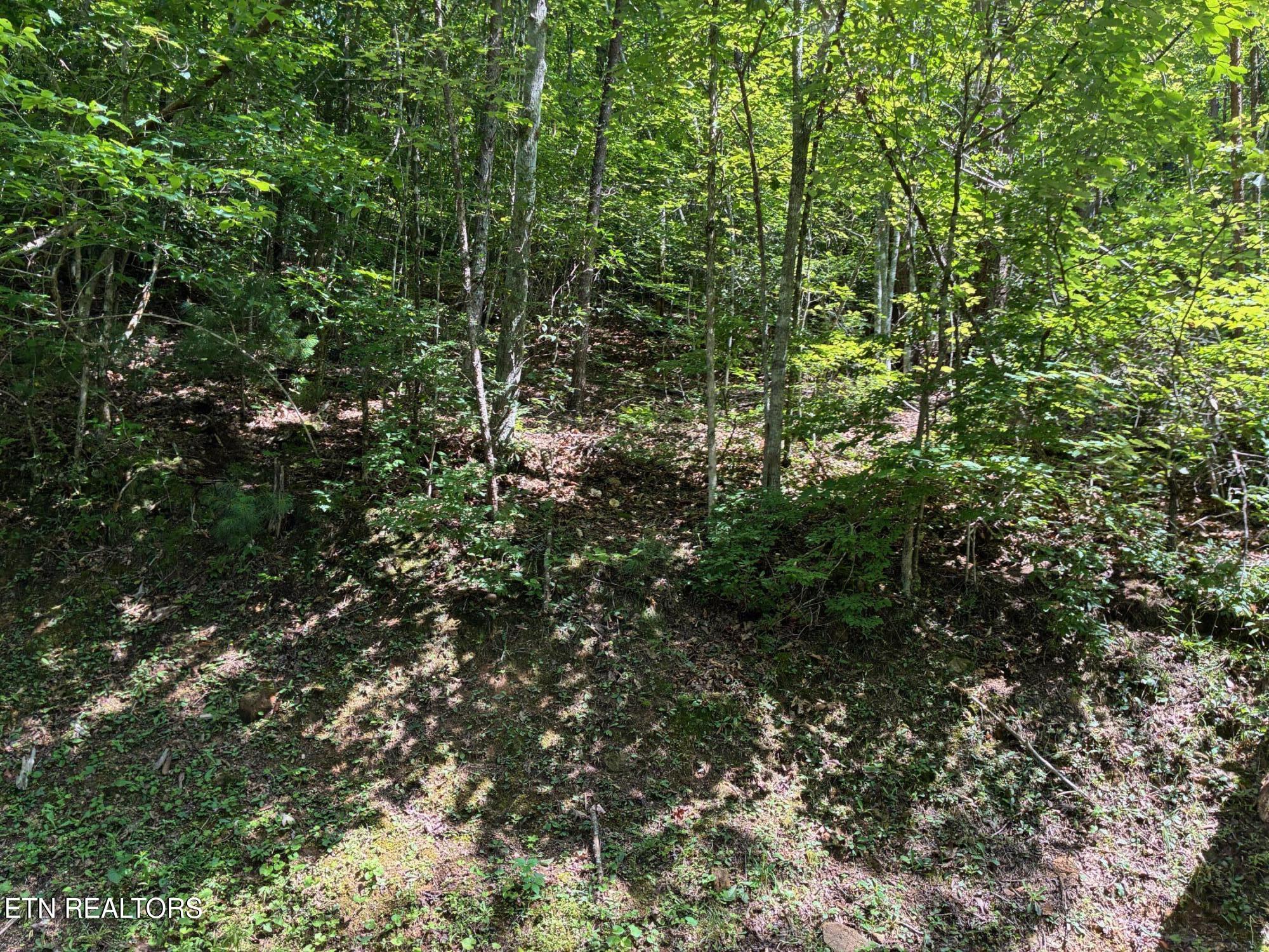 Claude Shields Way Sevierville TN 37876