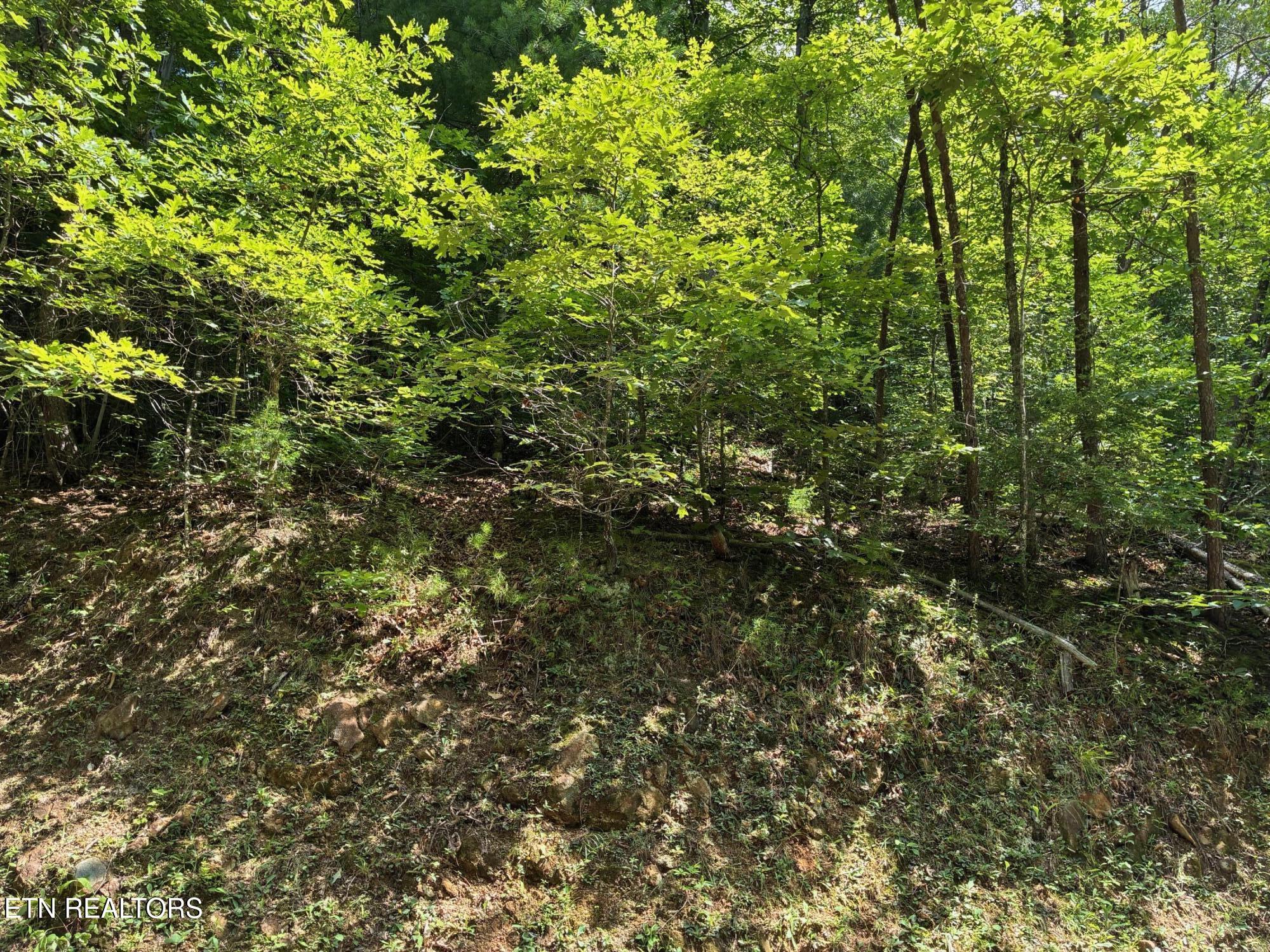 Claude Shields Way Sevierville TN 37876