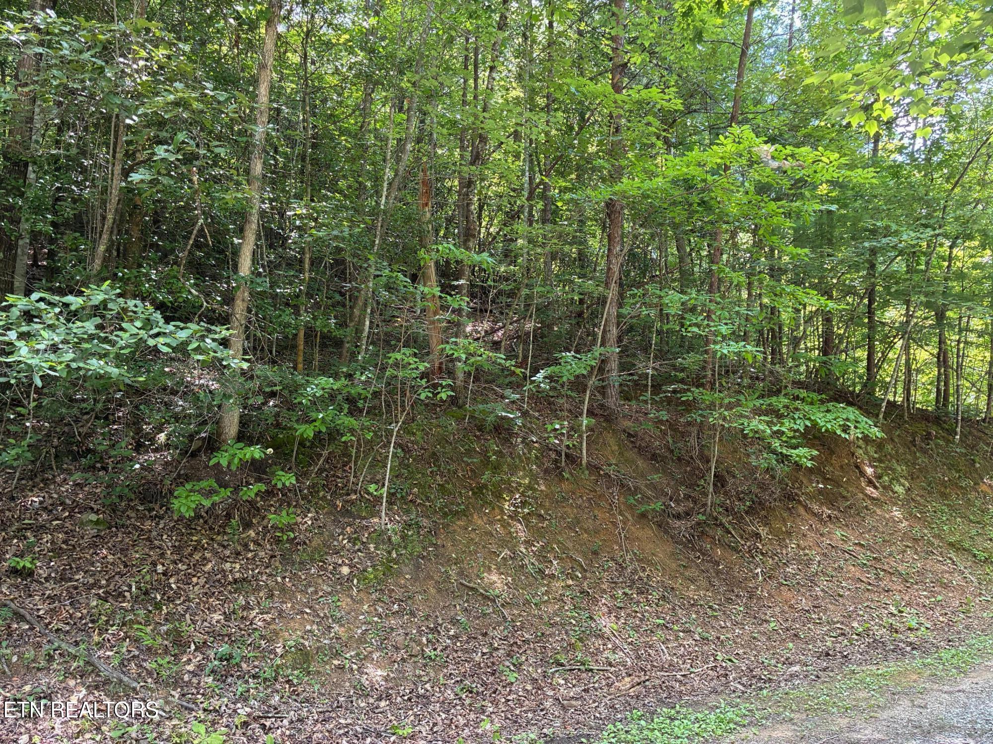 Claude Shields Way Sevierville TN 37876