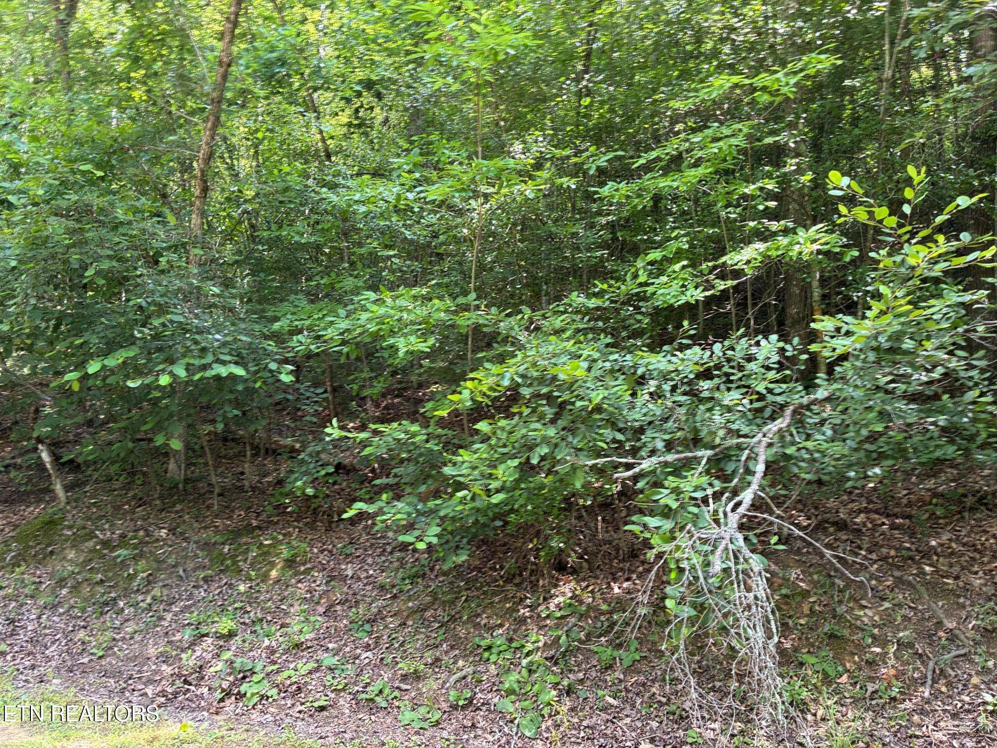 Claude Shields Way Sevierville TN 37876