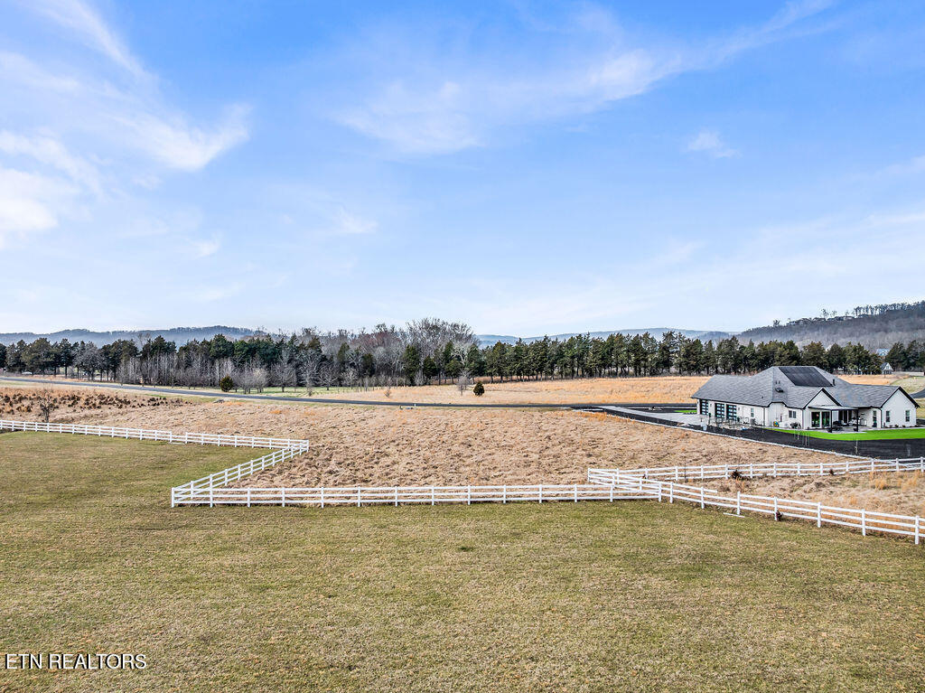 259 W Shore Drive Rockwood TN 37854
