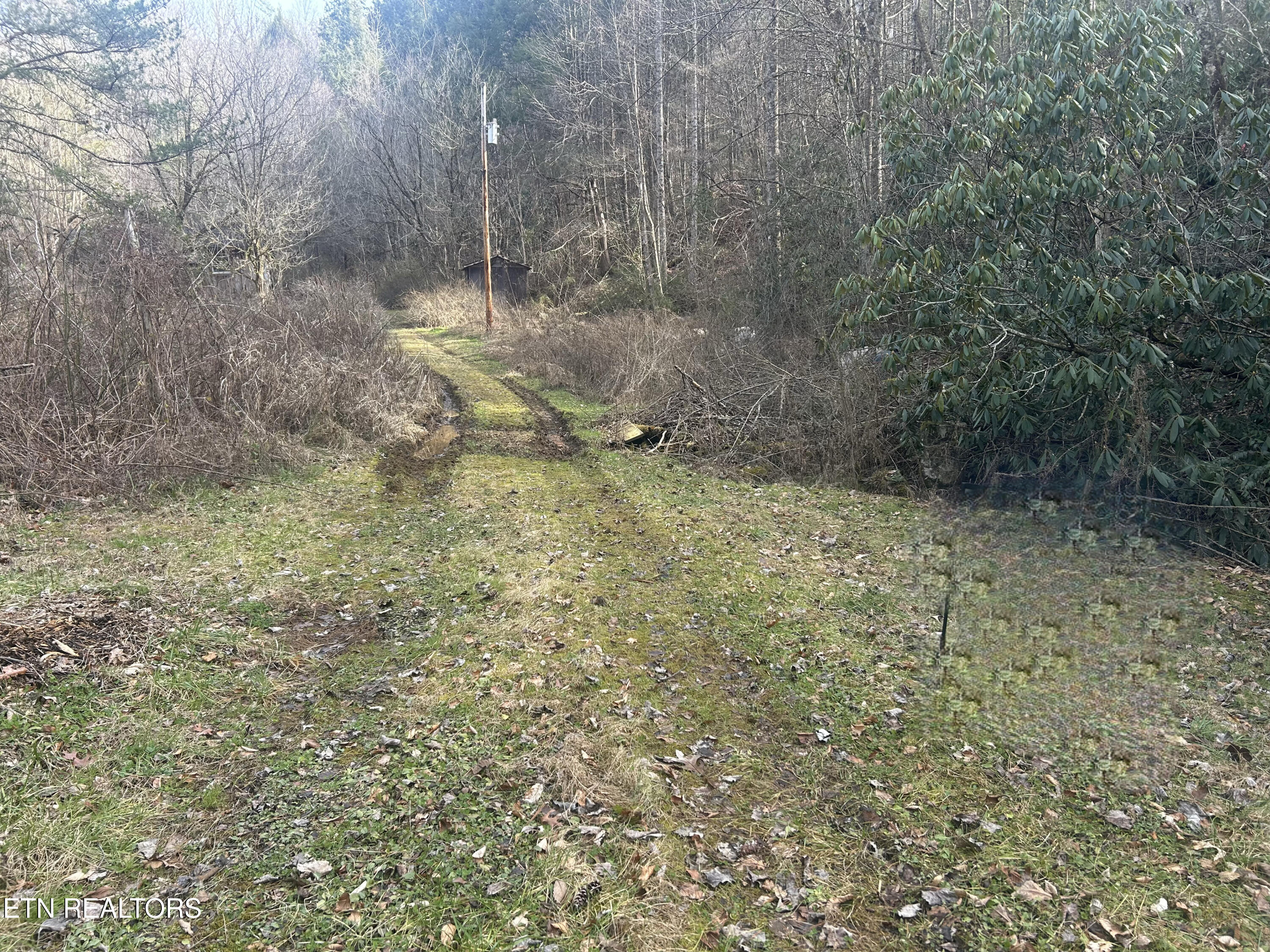 4438 Bruce Ogle Way Pigeon Forge TN 37863
