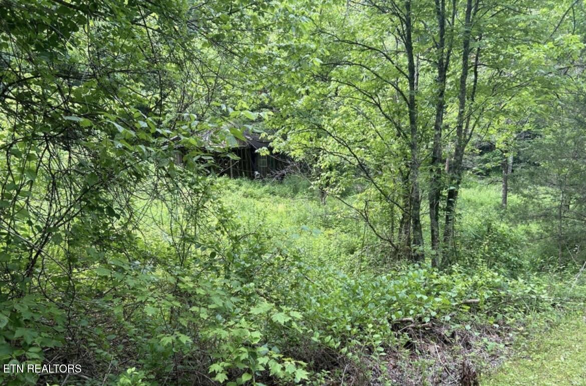 4438 Bruce Ogle Way Pigeon Forge TN 37863