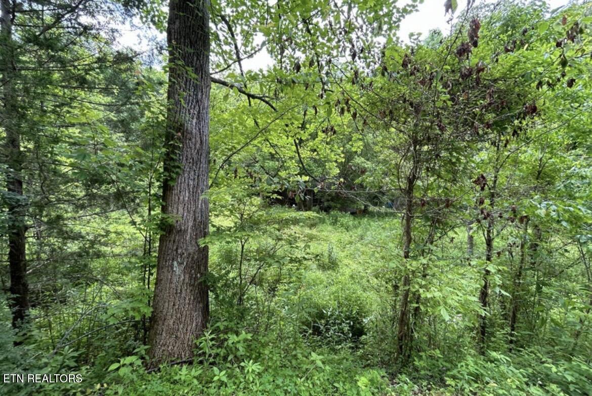 4438 Bruce Ogle Way Pigeon Forge TN 37863