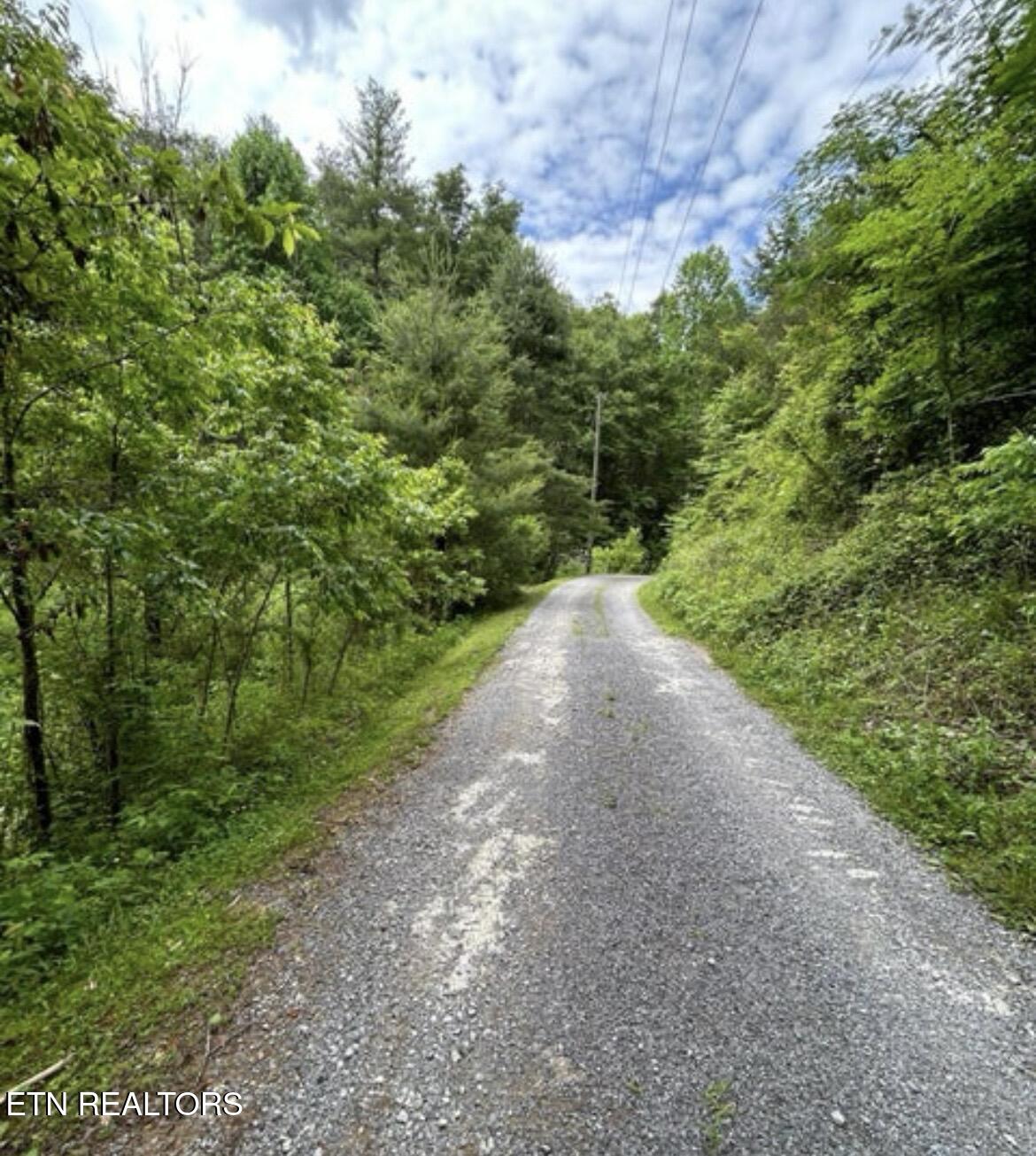 4438 Bruce Ogle Way Pigeon Forge TN 37863