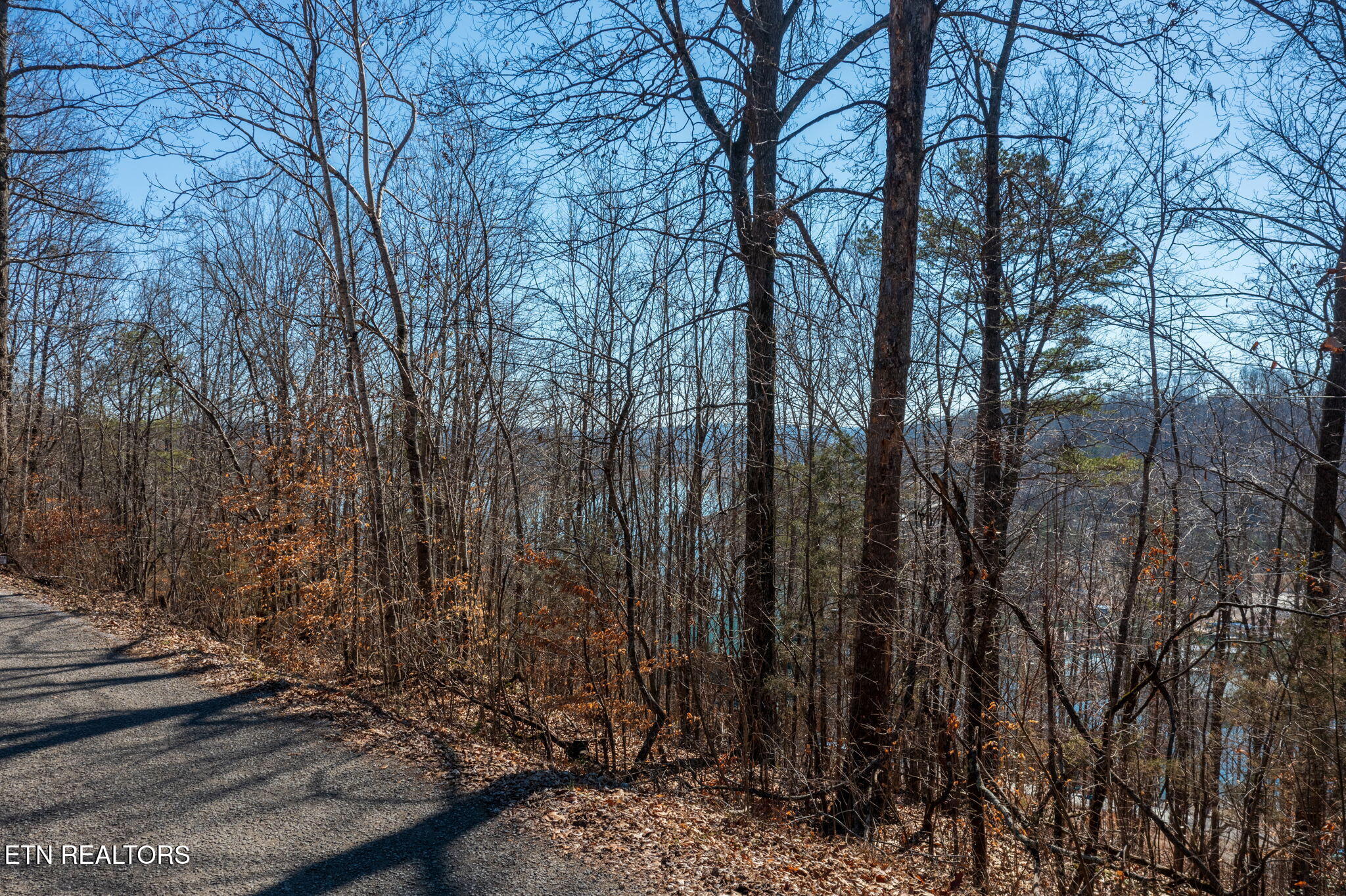 E Dogwood Trail Lafollette TN 37766
