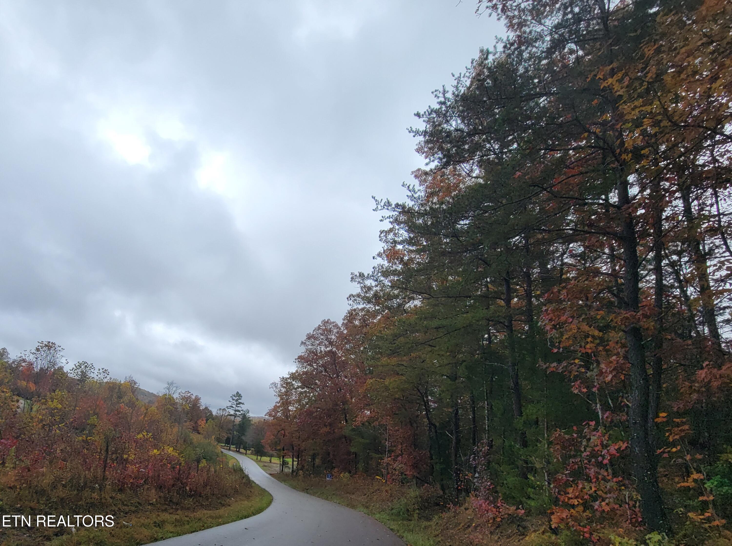 6605 Grave Hill Road Oneida TN 37841
