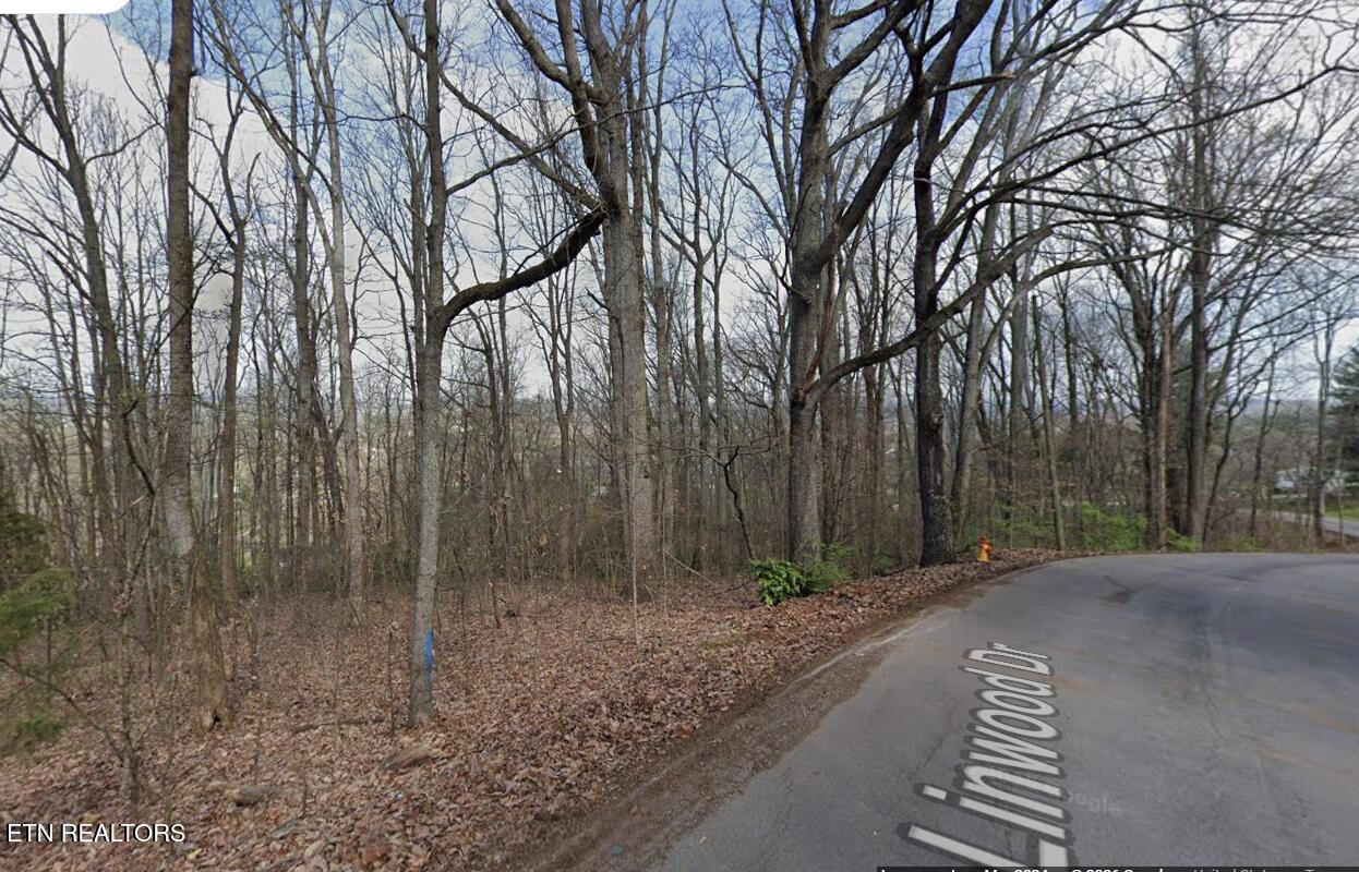 136 Linwood Drive Sweetwater TN 37874
