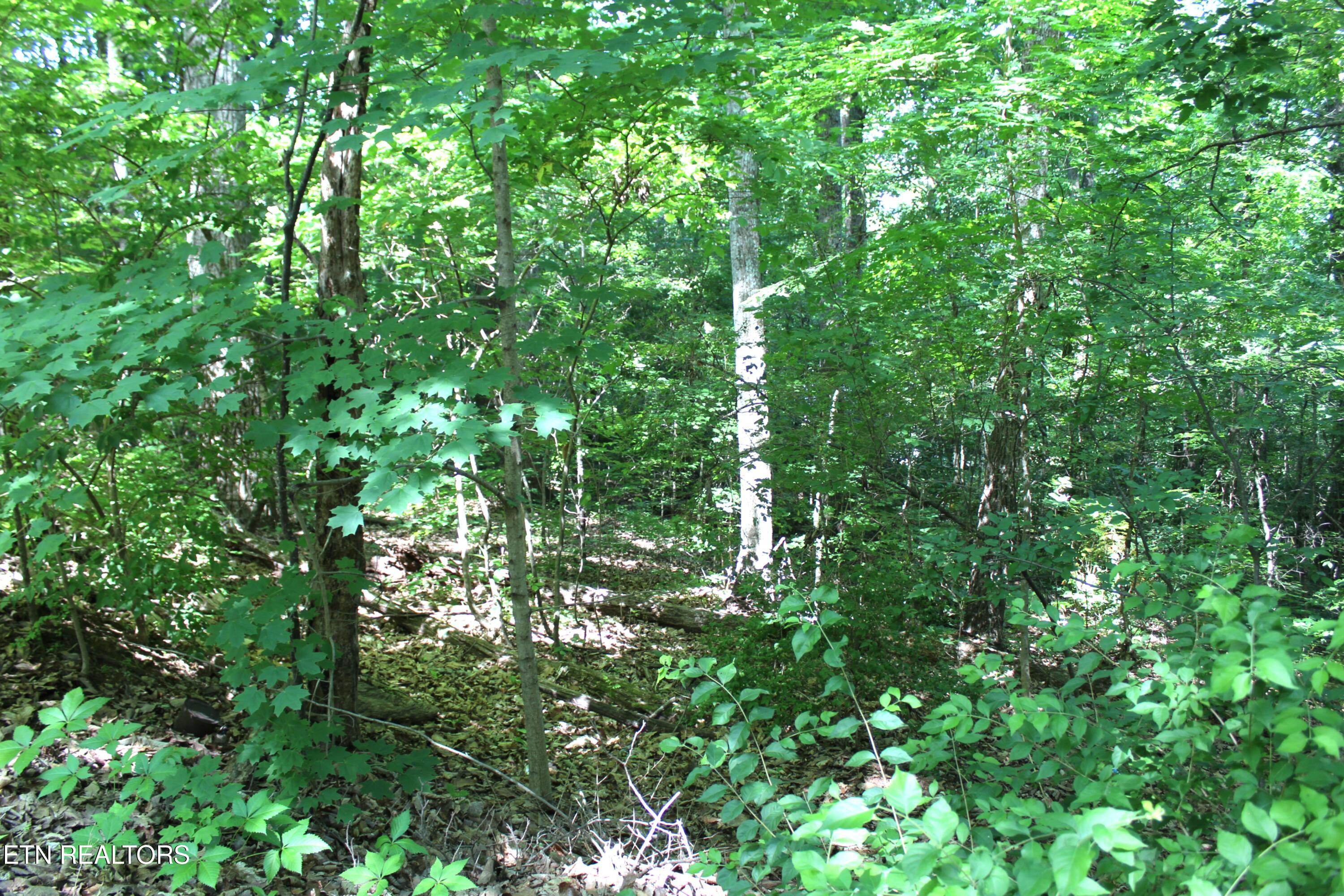 136 Linwood Drive Sweetwater TN 37874