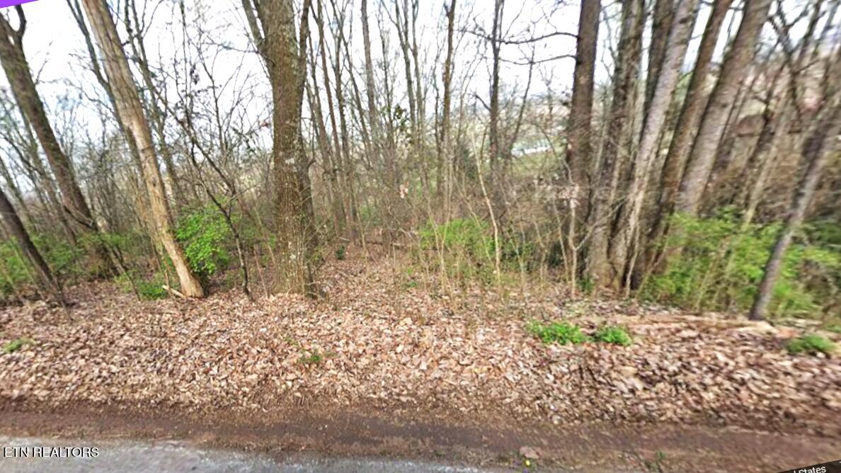136 Linwood Drive Sweetwater TN 37874
