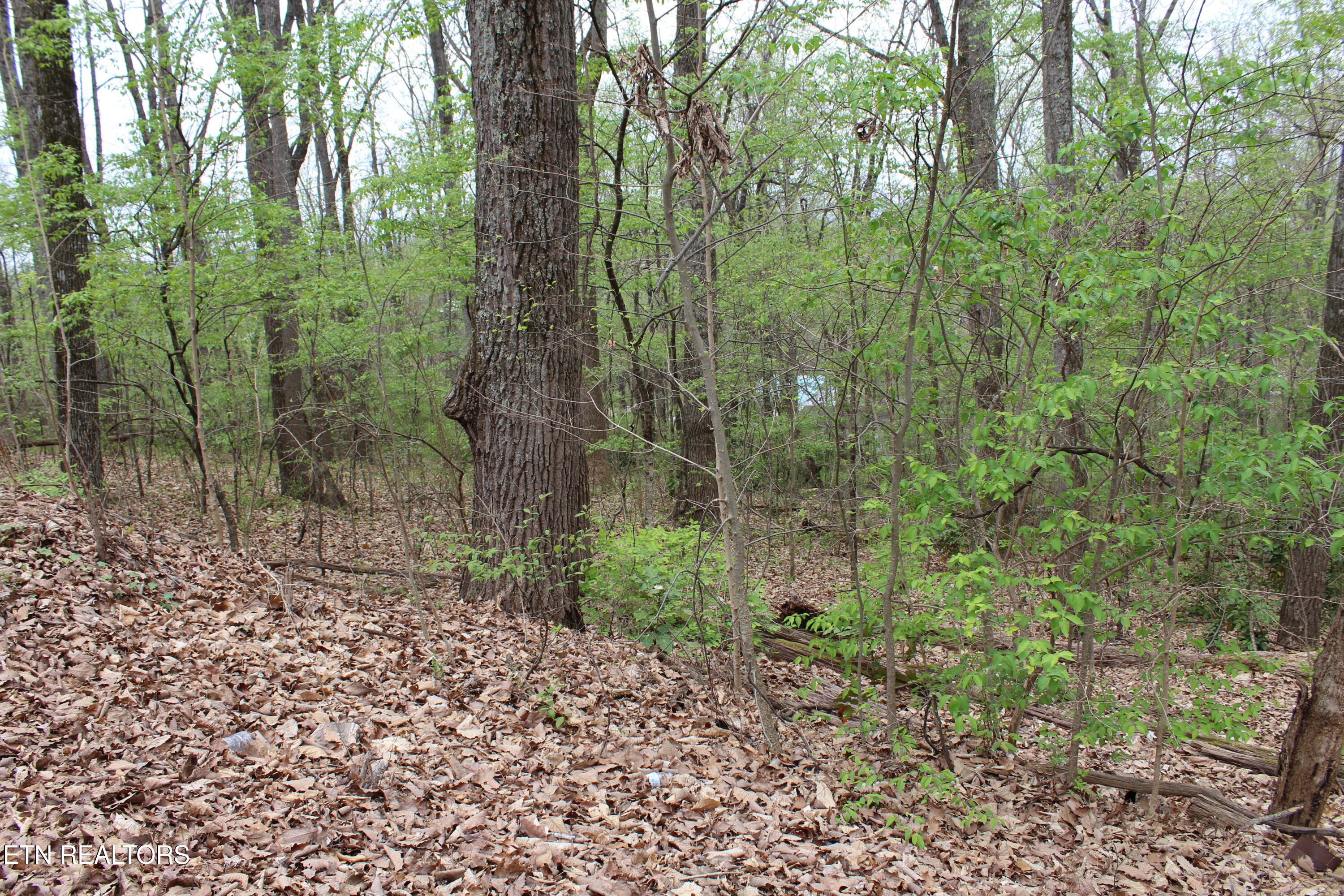 136 Linwood Drive Sweetwater TN 37874