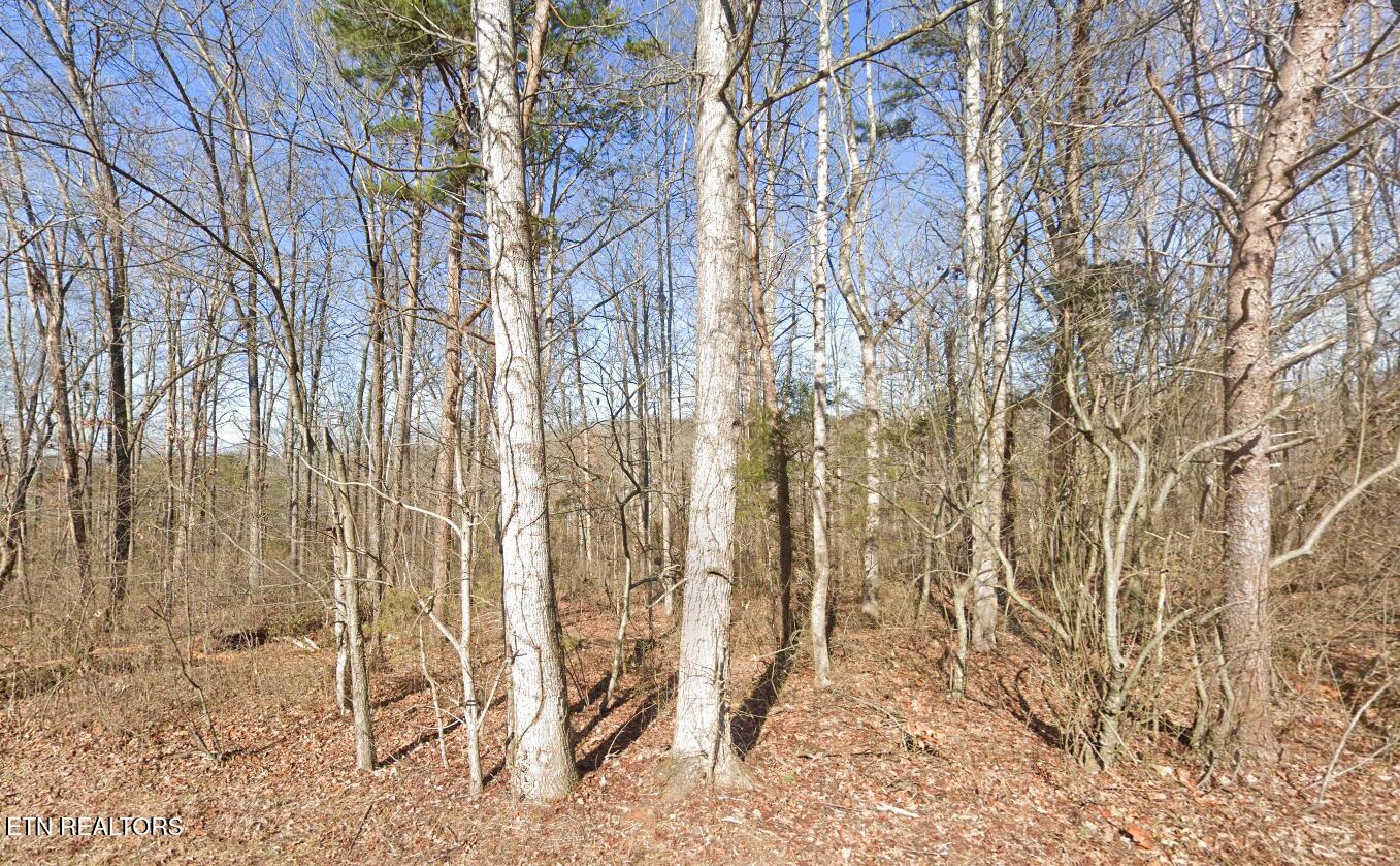 115 Chanusi Way Loudon TN 37774