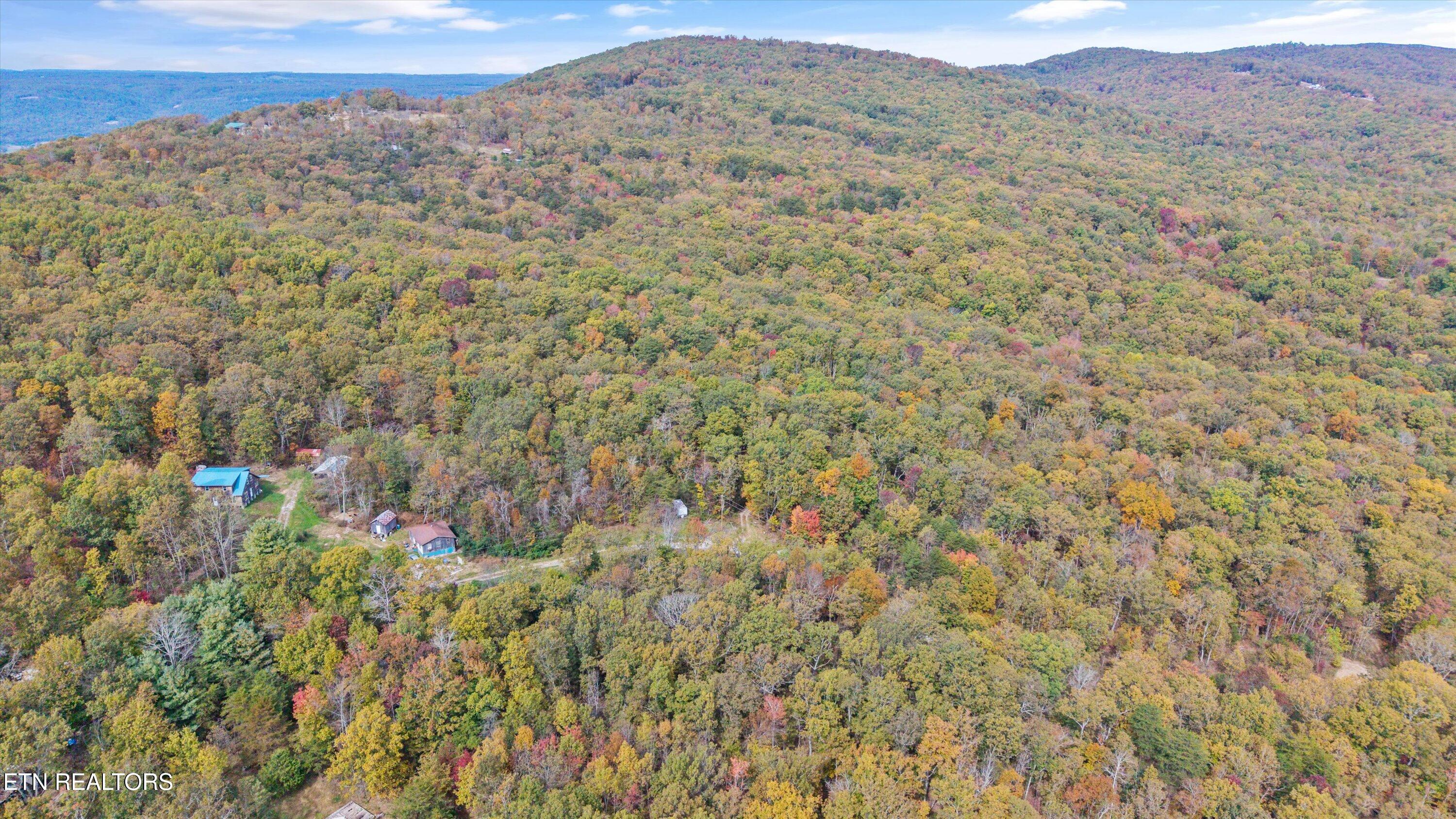 285 Raeanne Drive Spring City TN 37381