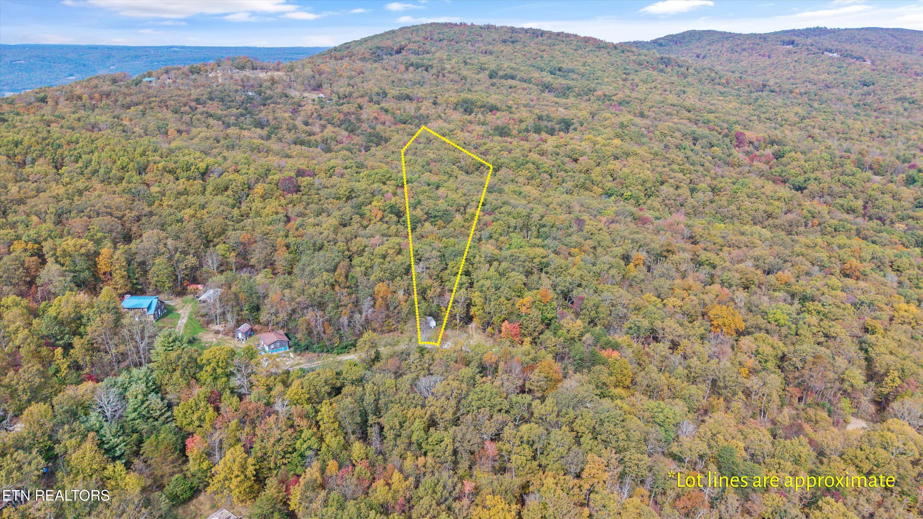 285 Raeanne Drive Spring City TN 37381