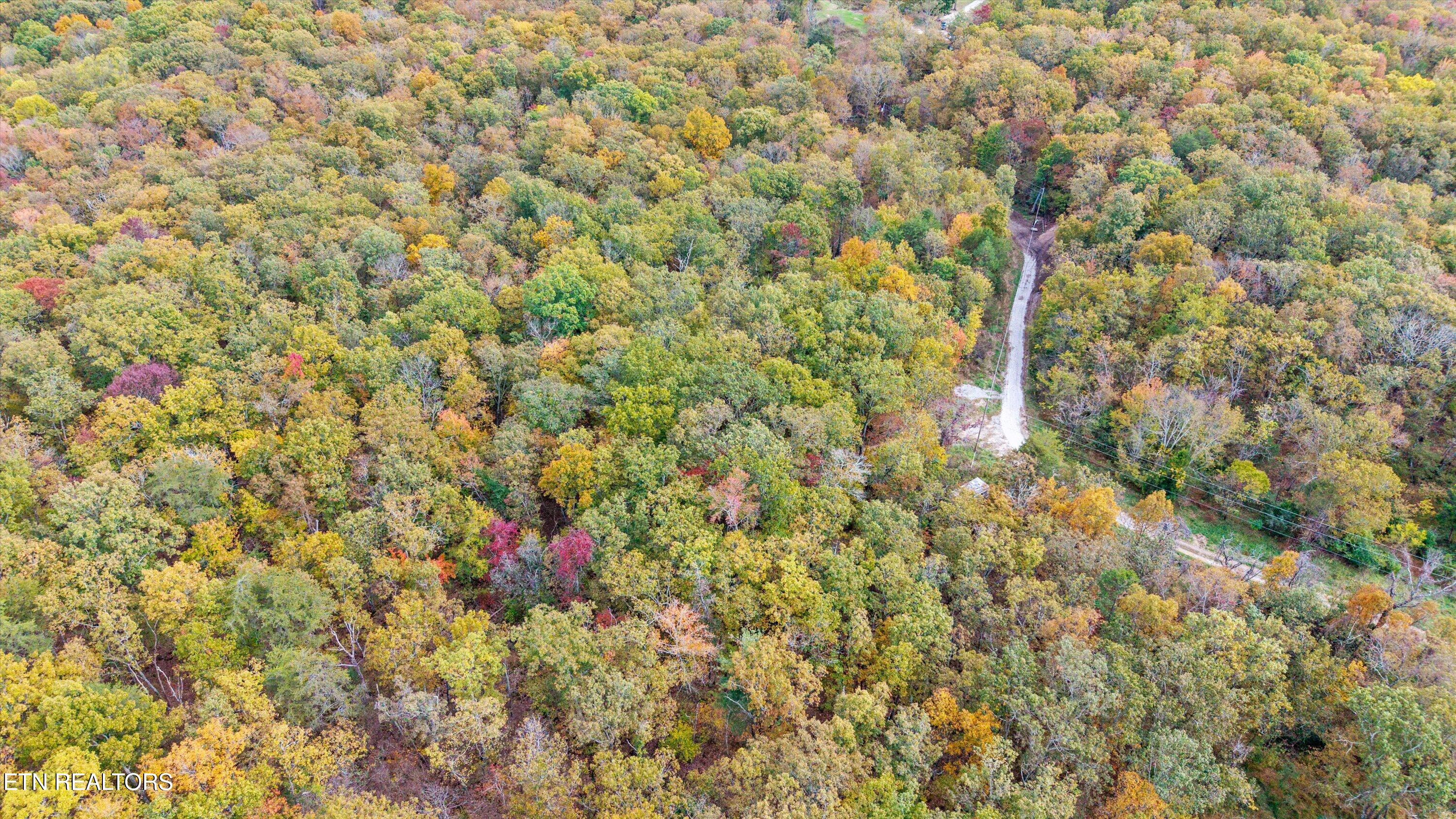 285 Raeanne Drive Spring City TN 37381