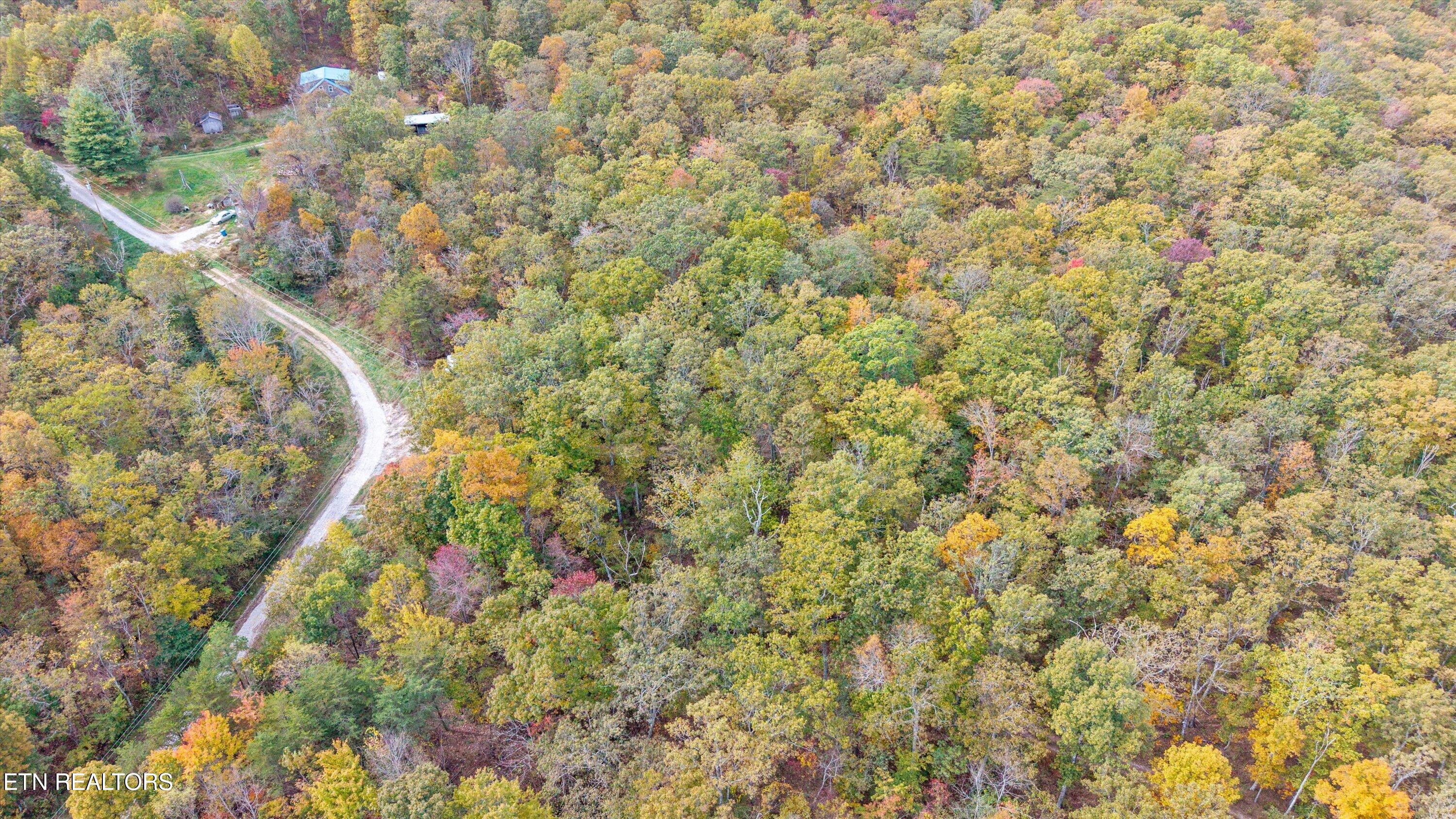 285 Raeanne Drive Spring City TN 37381