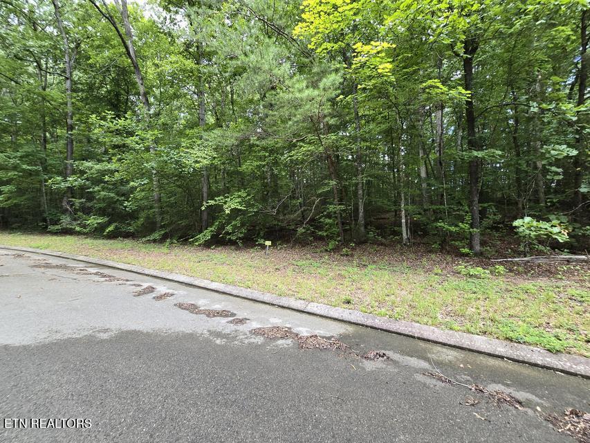 Lot 136 Lower Brow Road Dunlap TN 37327