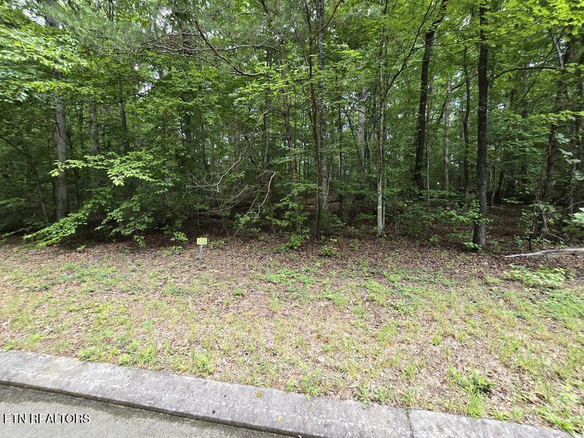 Lot 136 Lower Brow Road Dunlap TN 37327