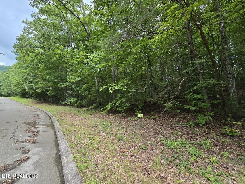 Lot 136 Lower Brow Road Dunlap TN 37327