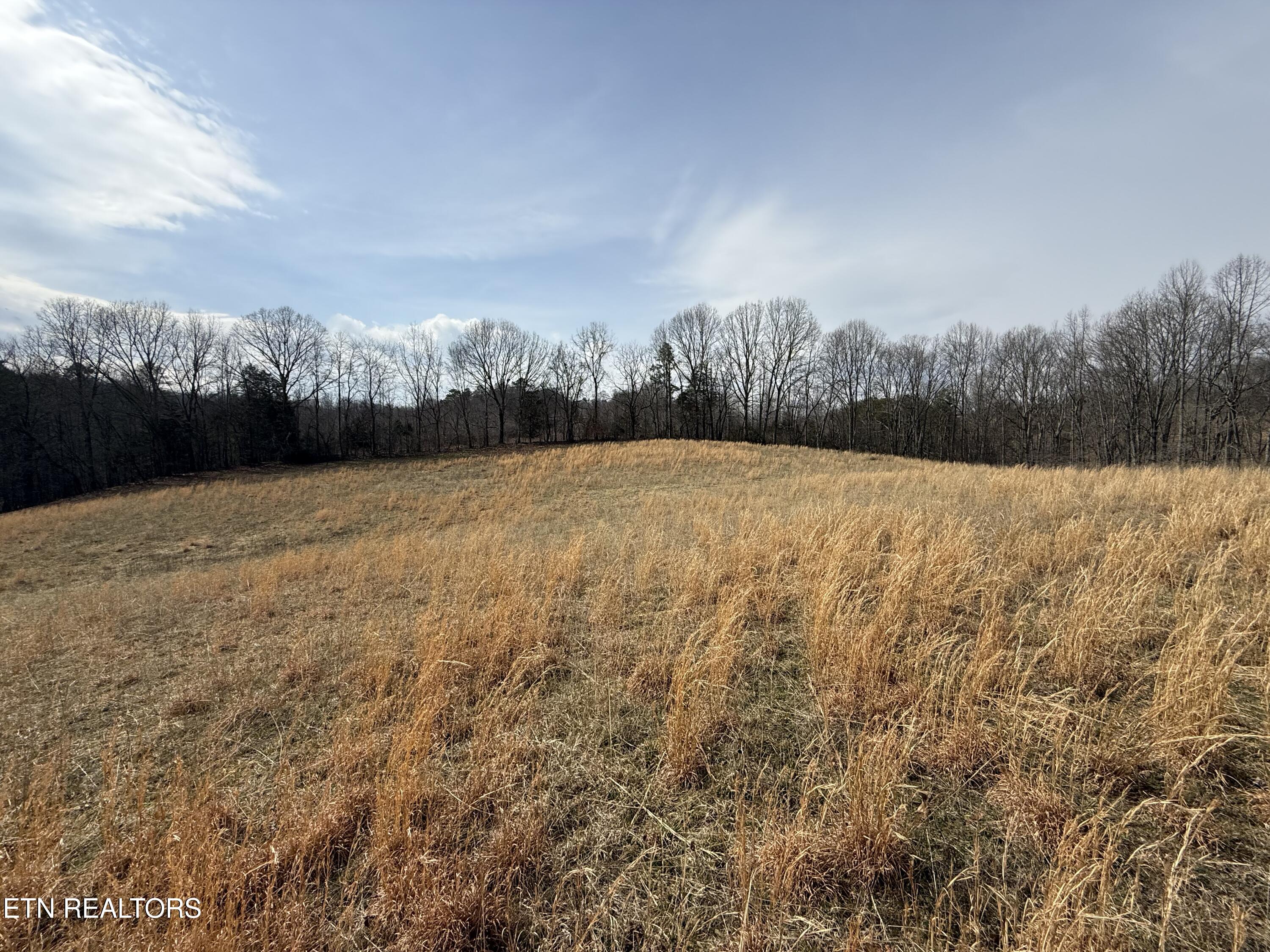 303 Tar Town Hollow Lane Lafollette TN 37766