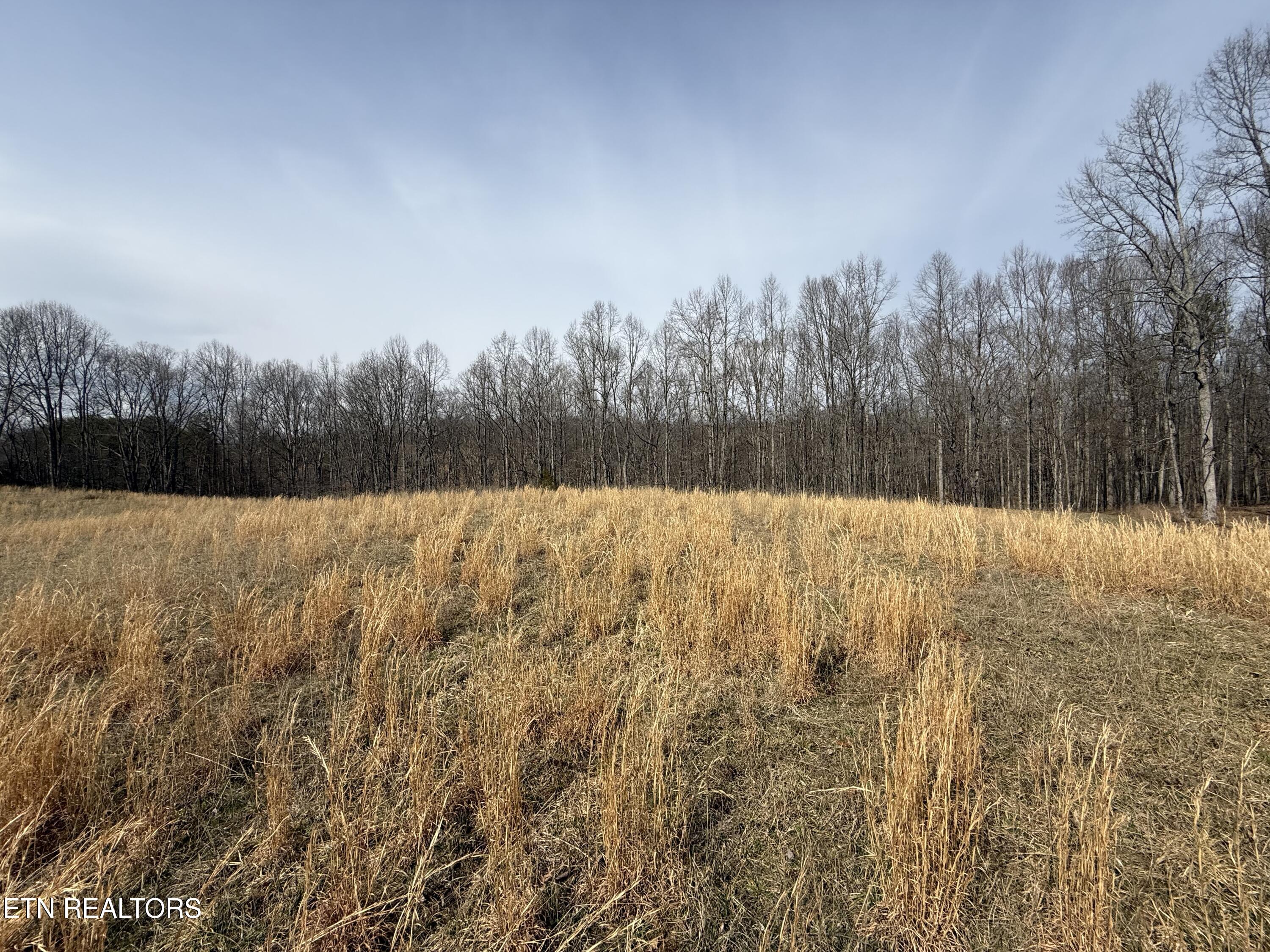 303 Tar Town Hollow Lane Lafollette TN 37766