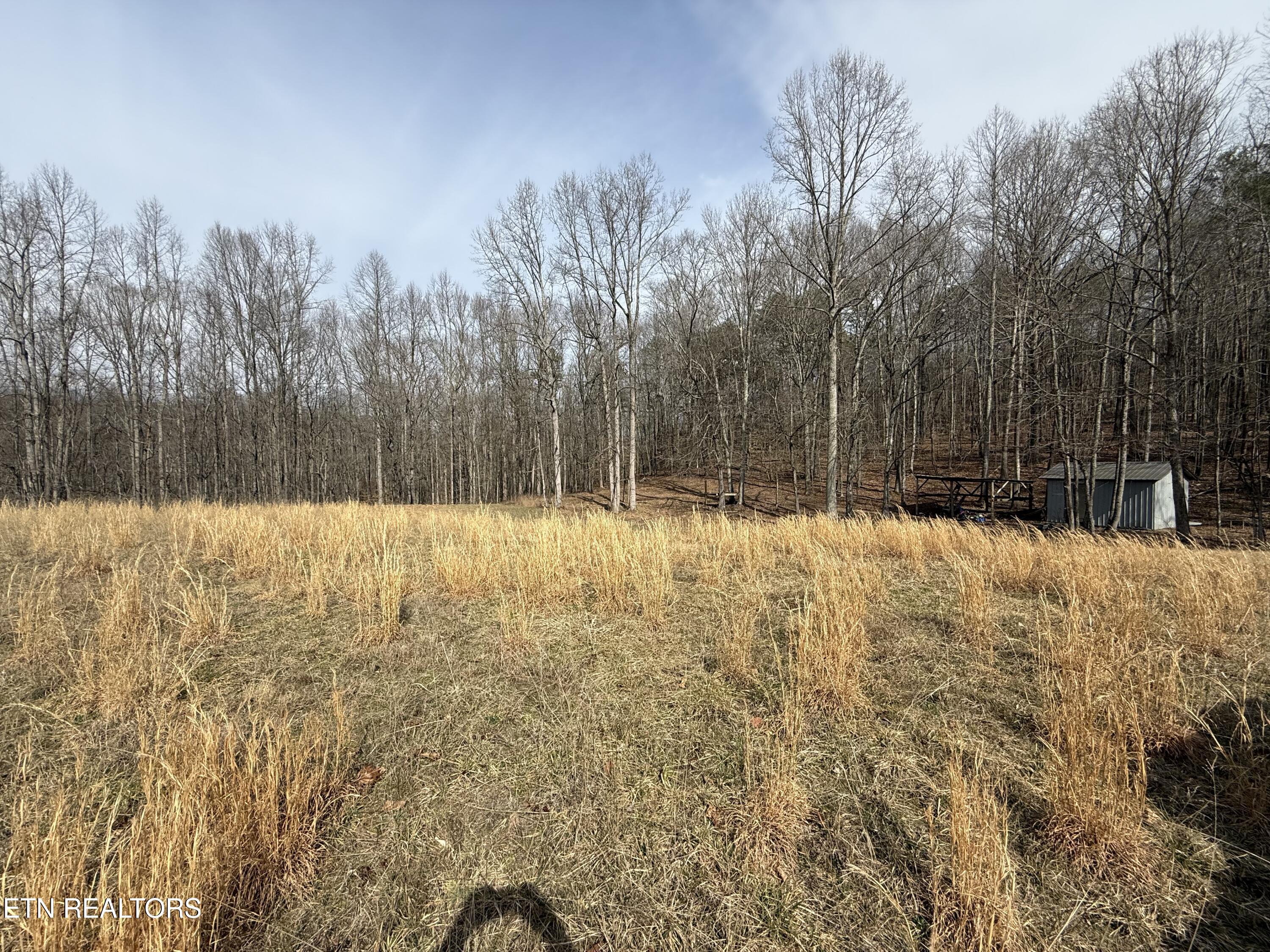 303 Tar Town Hollow Lane Lafollette TN 37766