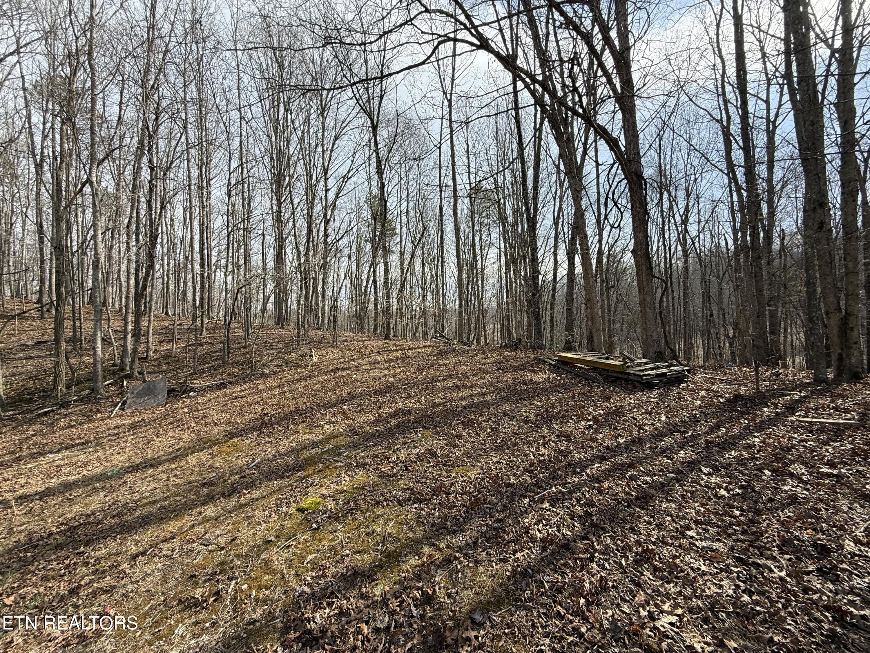 303 Tar Town Hollow Lane Lafollette TN 37766
