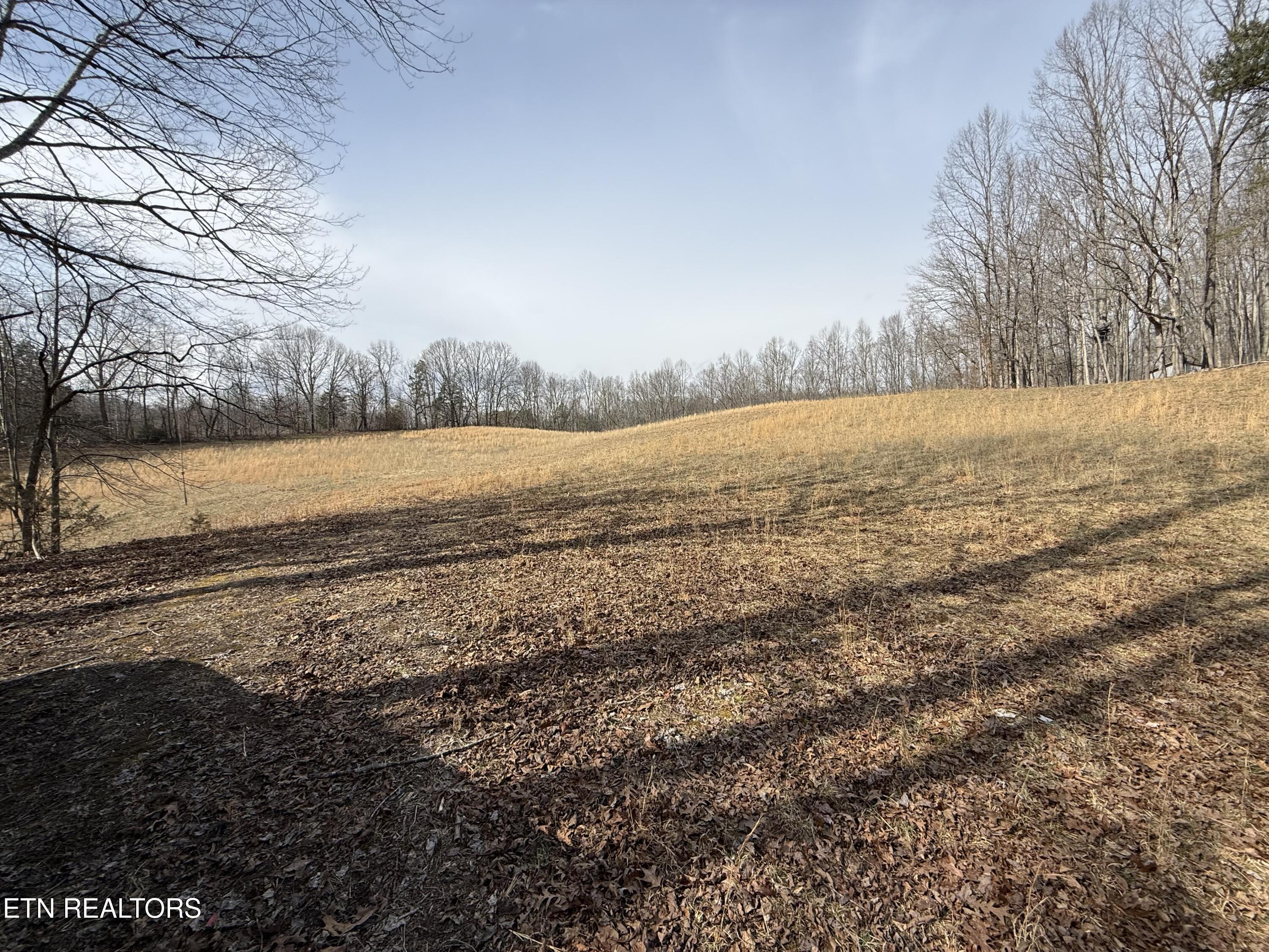 303 Tar Town Hollow Lane Lafollette TN 37766