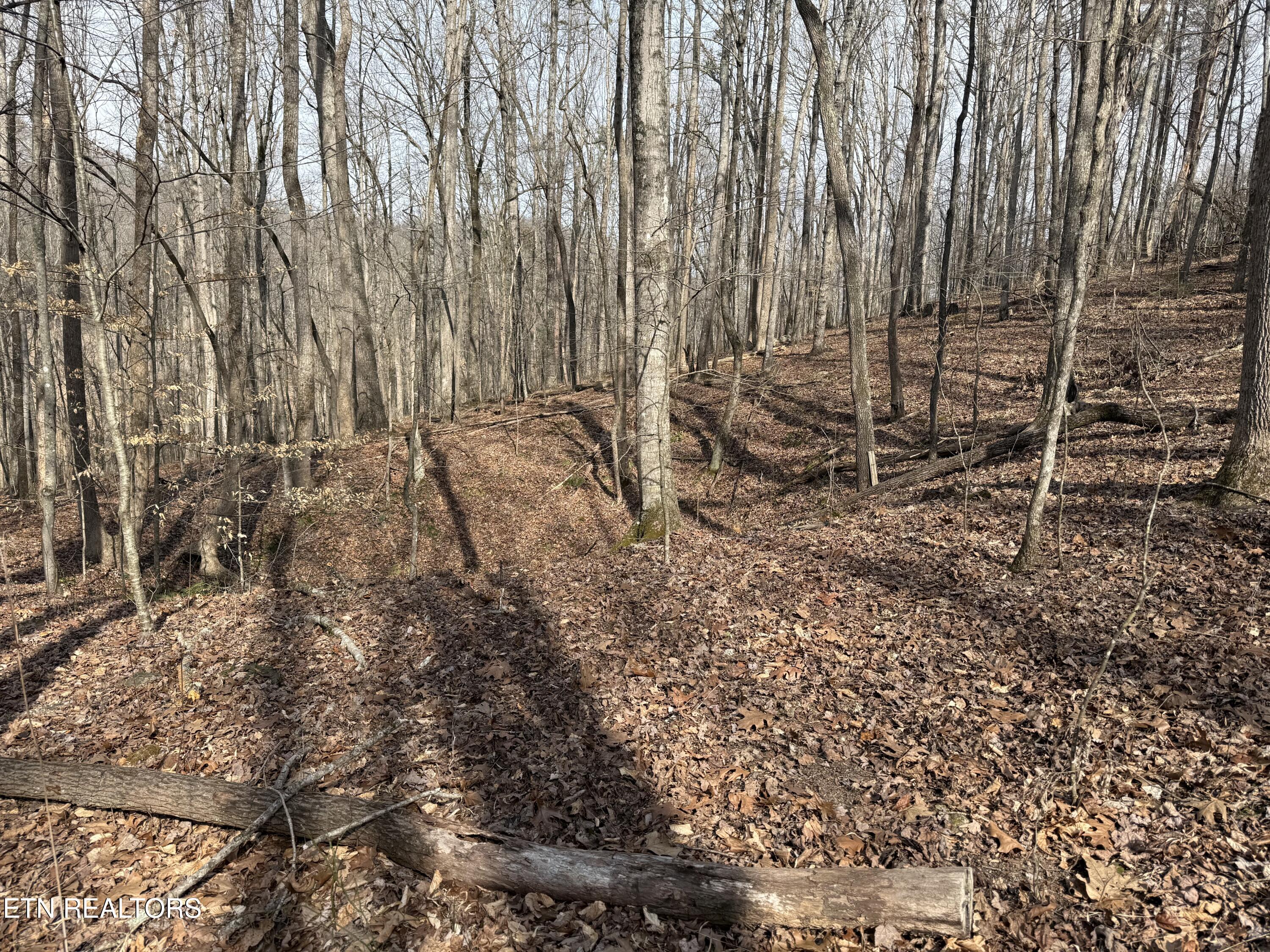 303 Tar Town Hollow Lane Lafollette TN 37766
