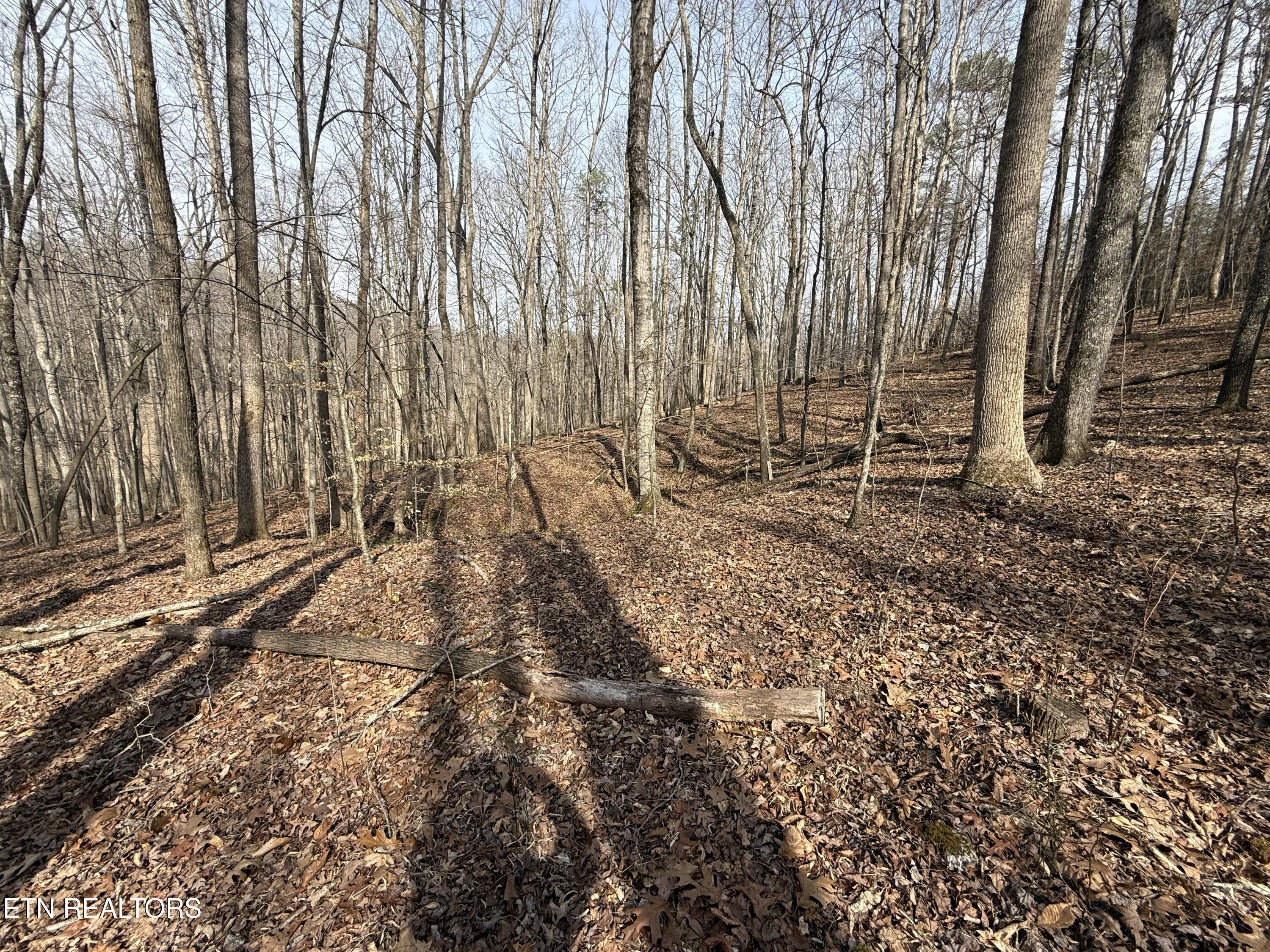 303 Tar Town Hollow Lane Lafollette TN 37766