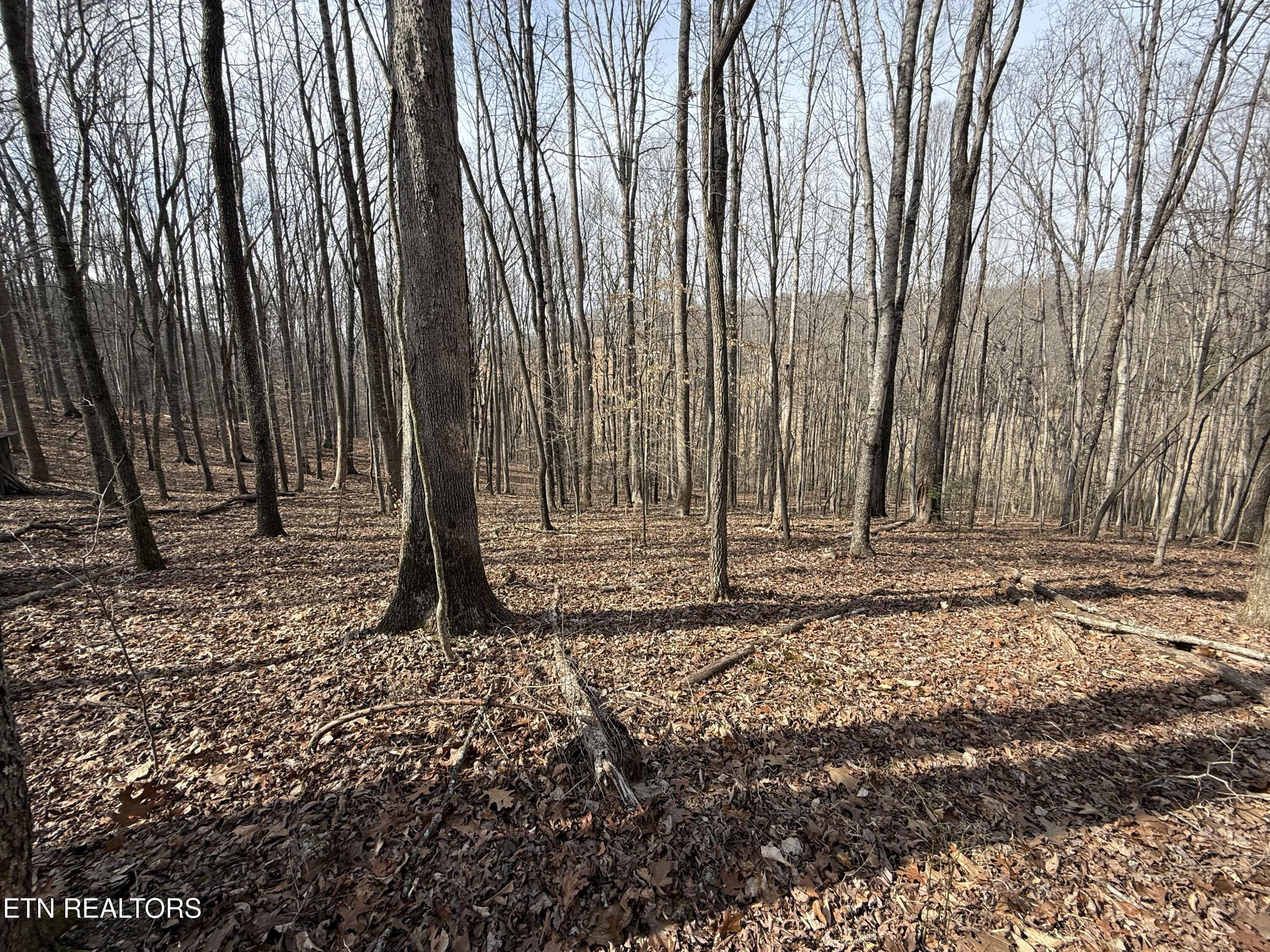 303 Tar Town Hollow Lane Lafollette TN 37766