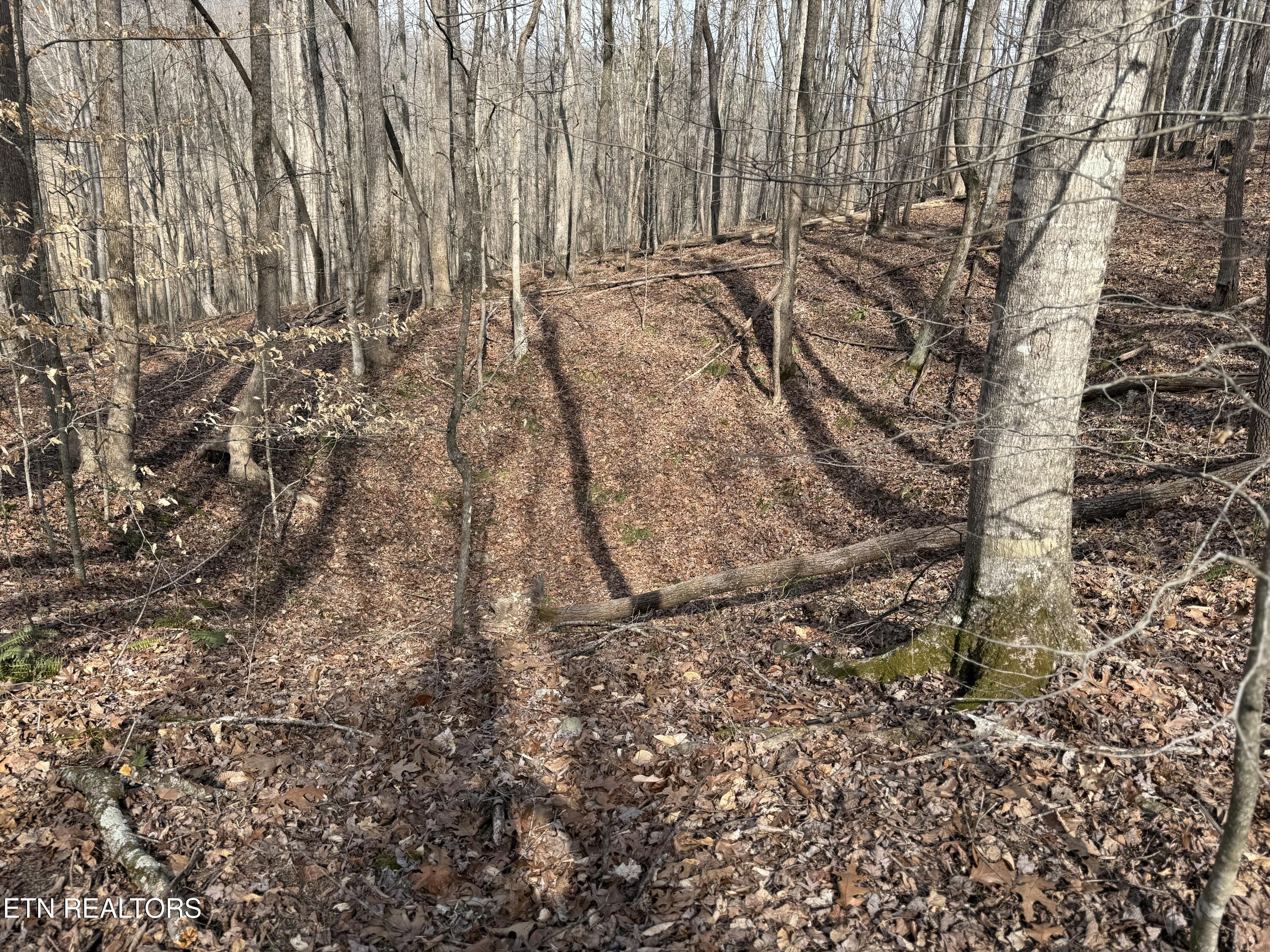 303 Tar Town Hollow Lane Lafollette TN 37766