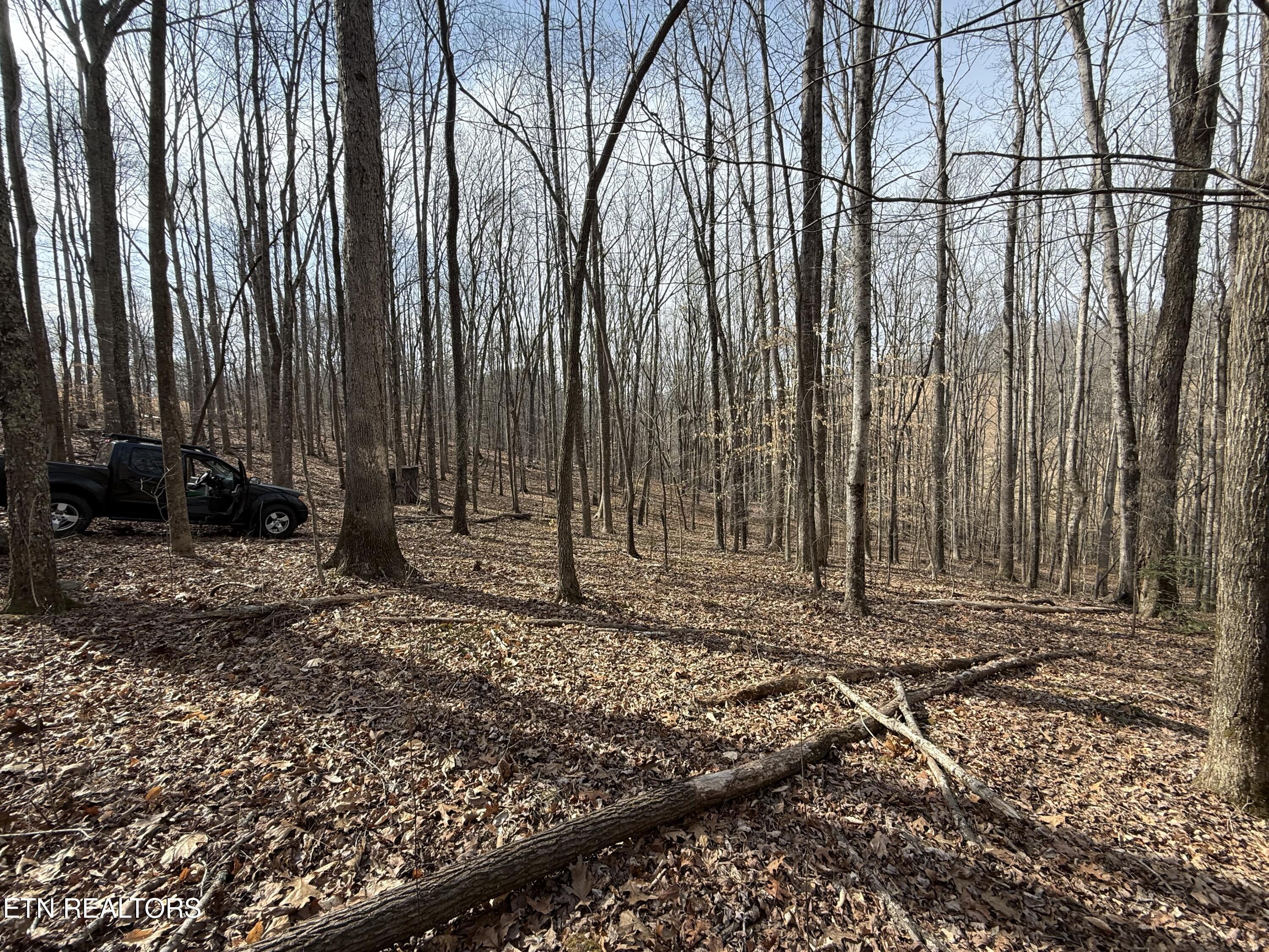 303 Tar Town Hollow Lane Lafollette TN 37766