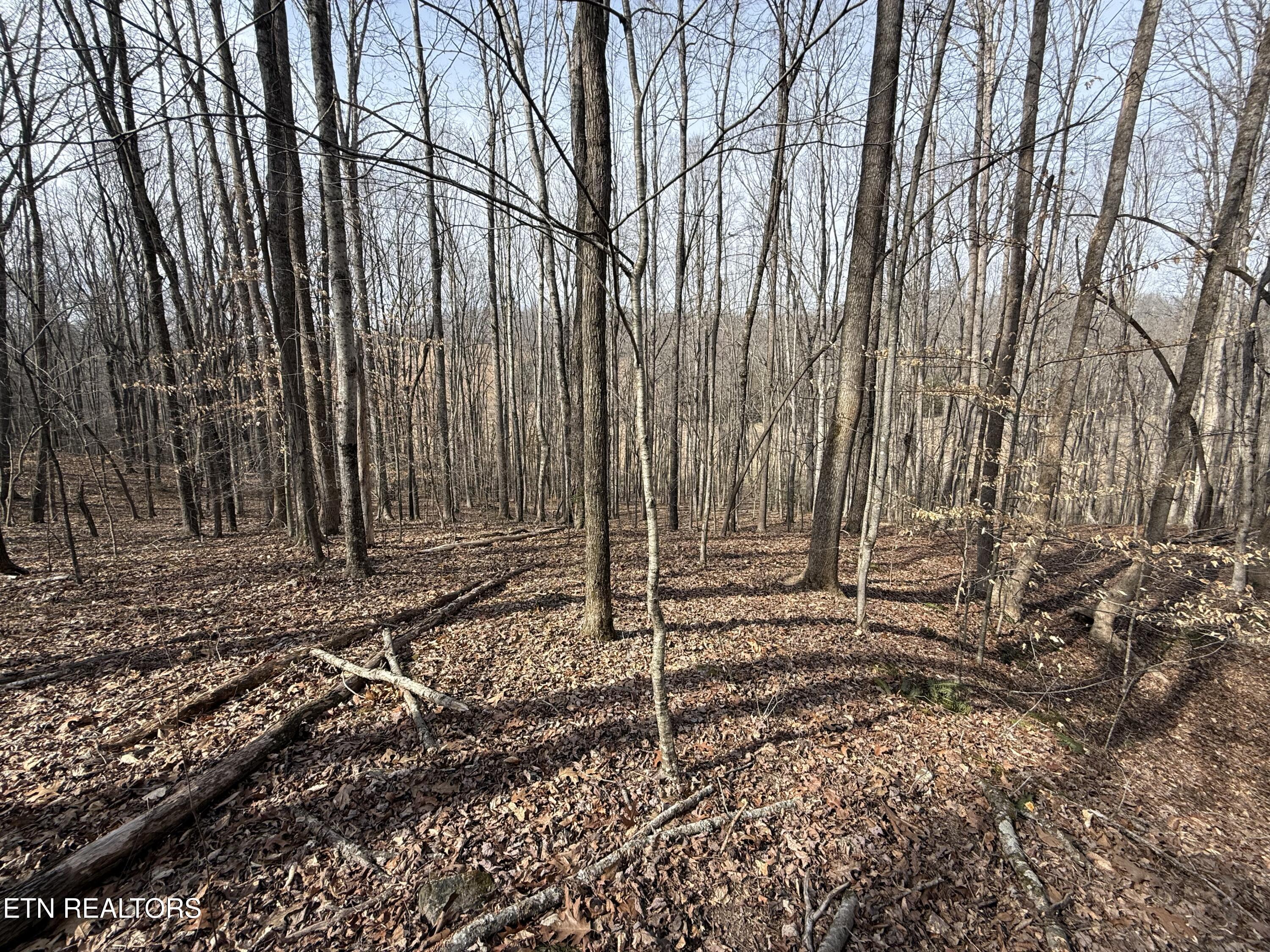 303 Tar Town Hollow Lane Lafollette TN 37766
