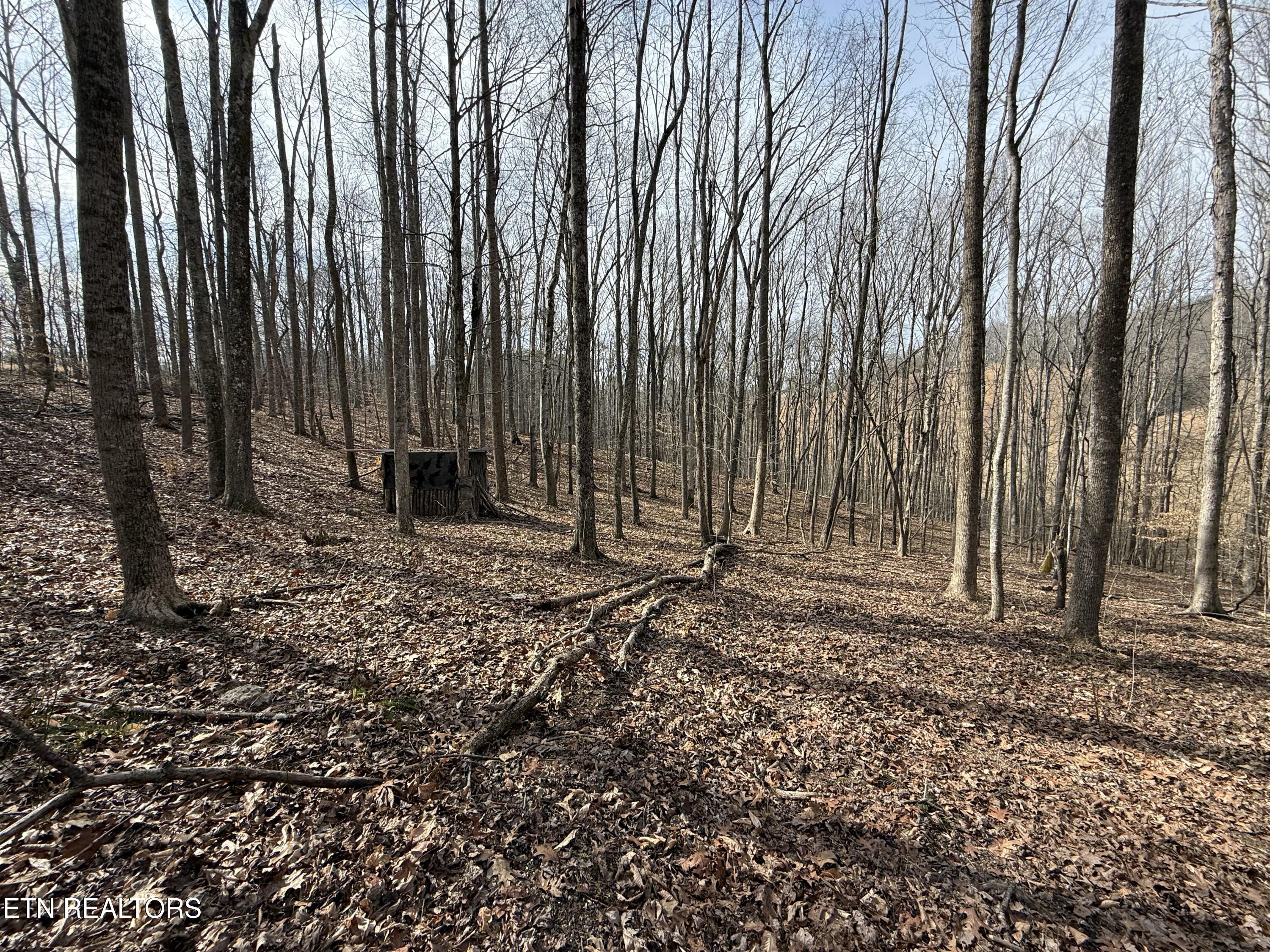 303 Tar Town Hollow Lane Lafollette TN 37766