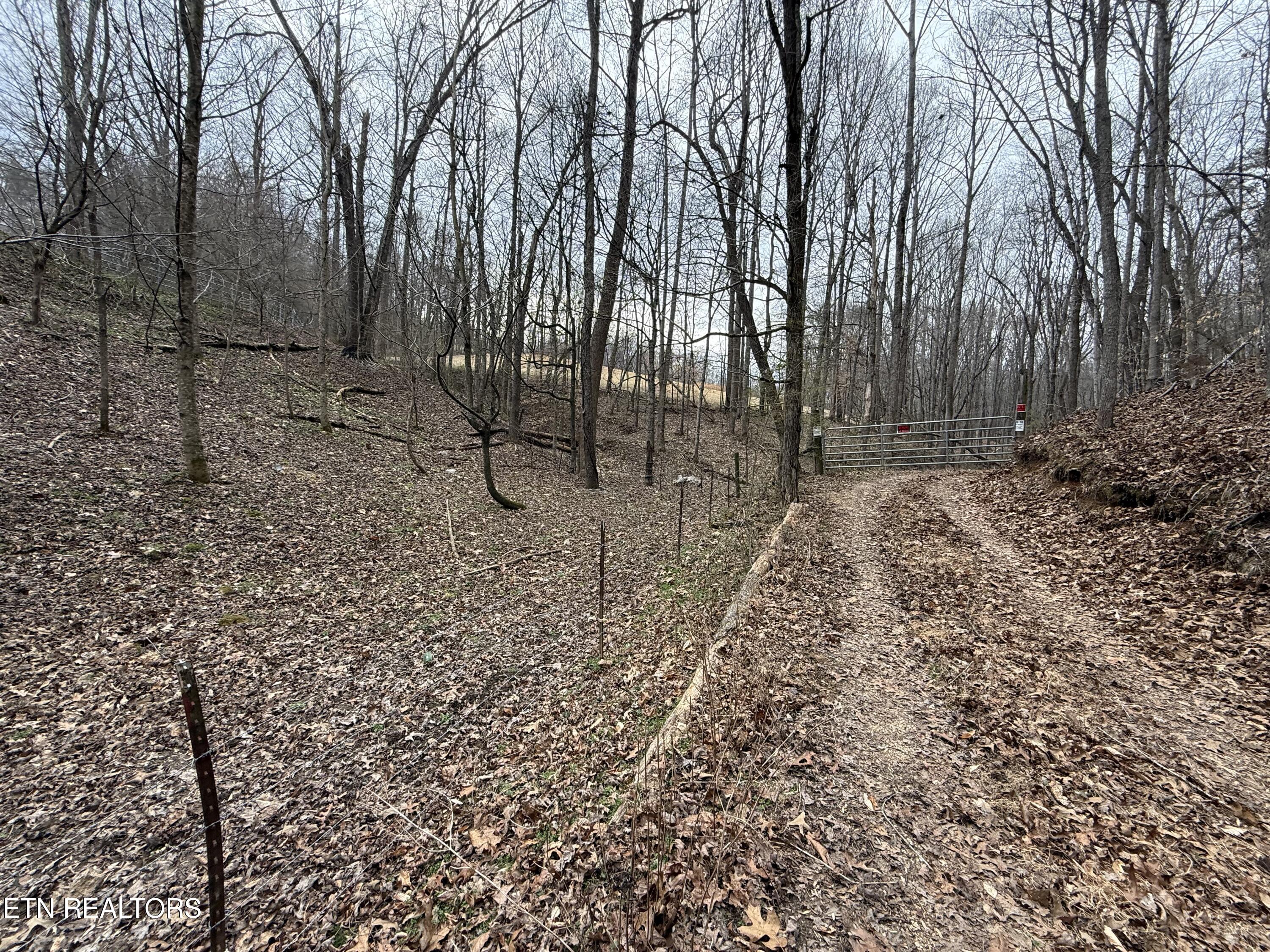 303 Tar Town Hollow Lane Lafollette TN 37766