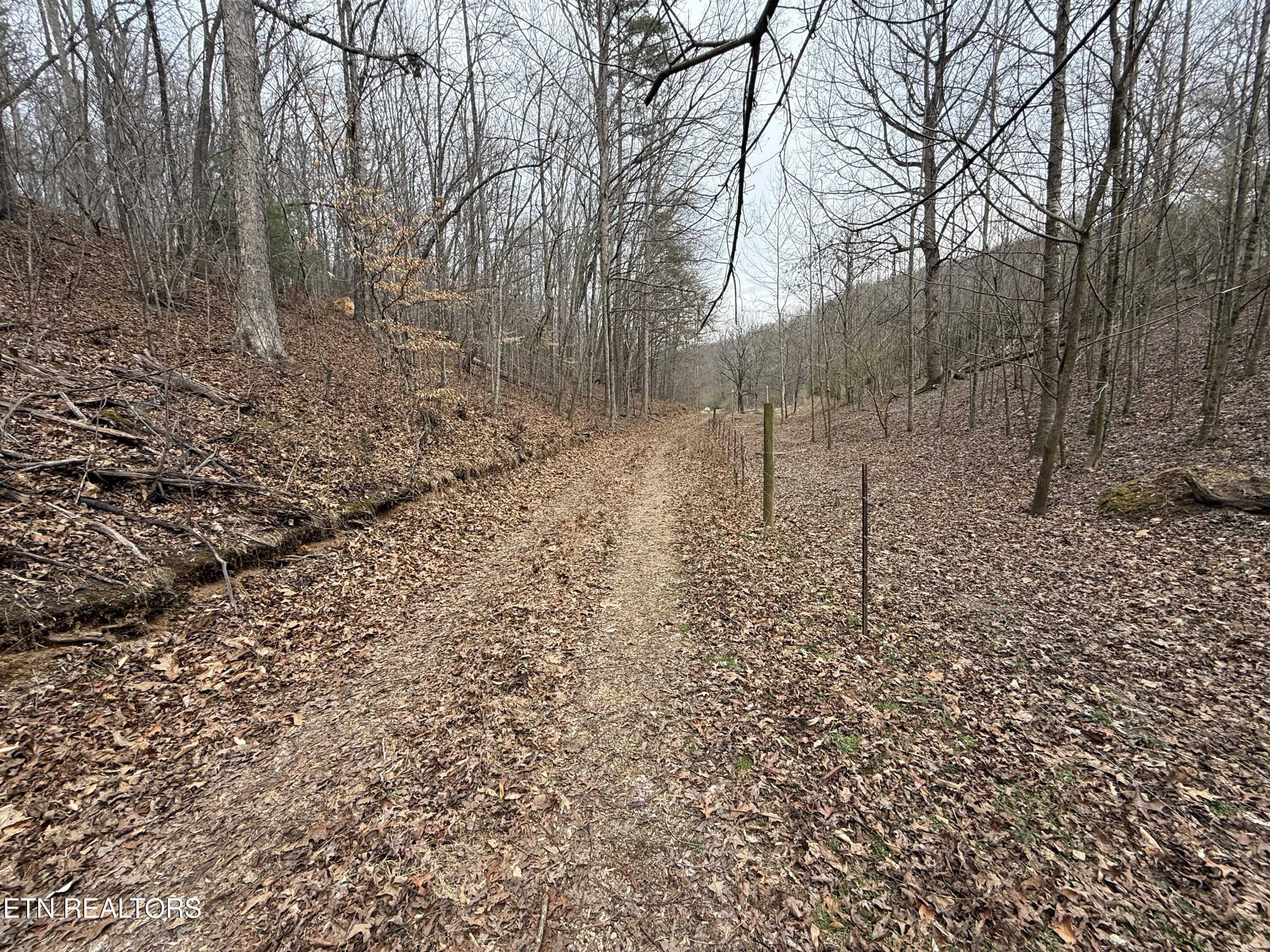 303 Tar Town Hollow Lane Lafollette TN 37766