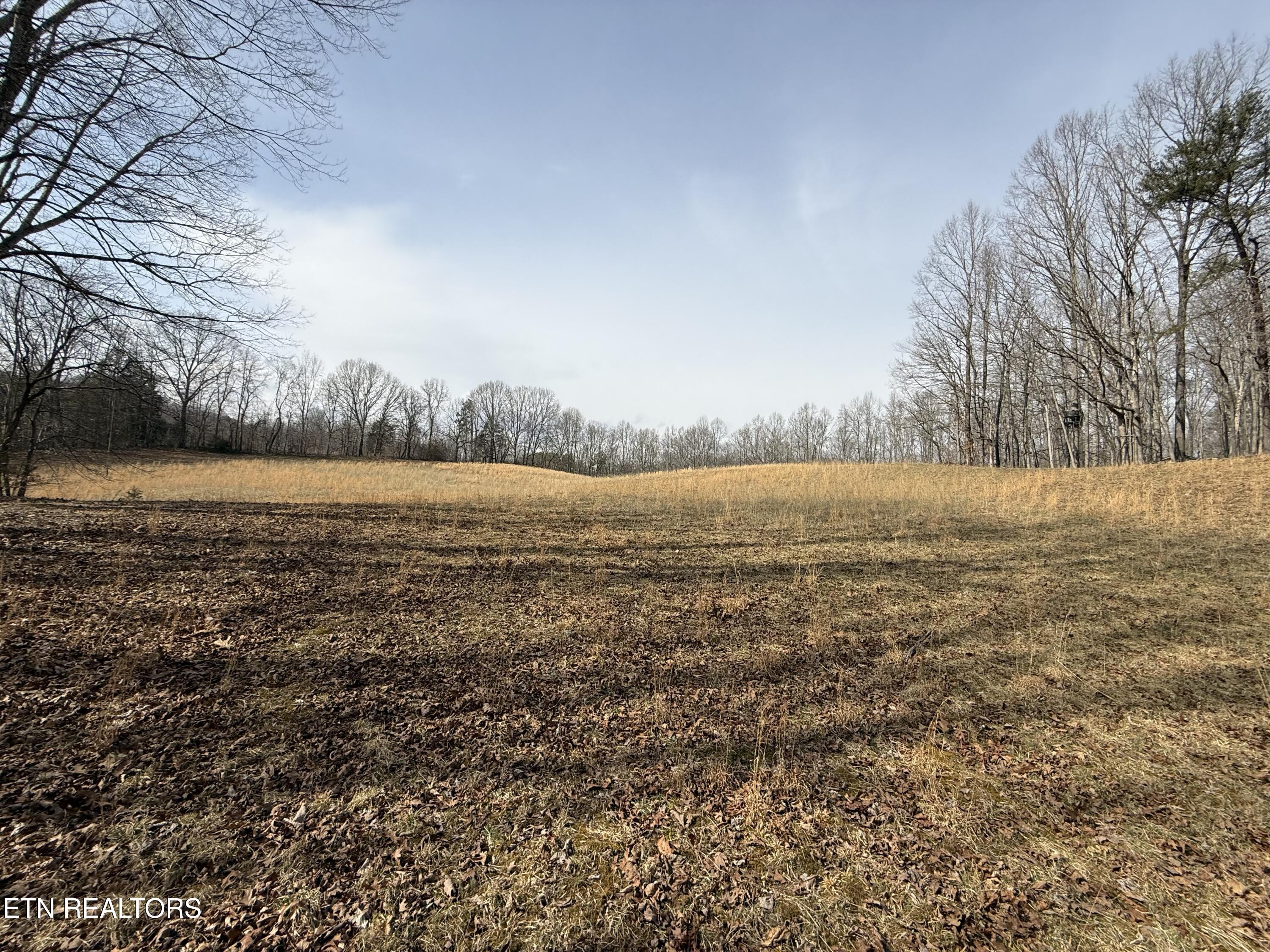 303 Tar Town Hollow Lane Lafollette TN 37766